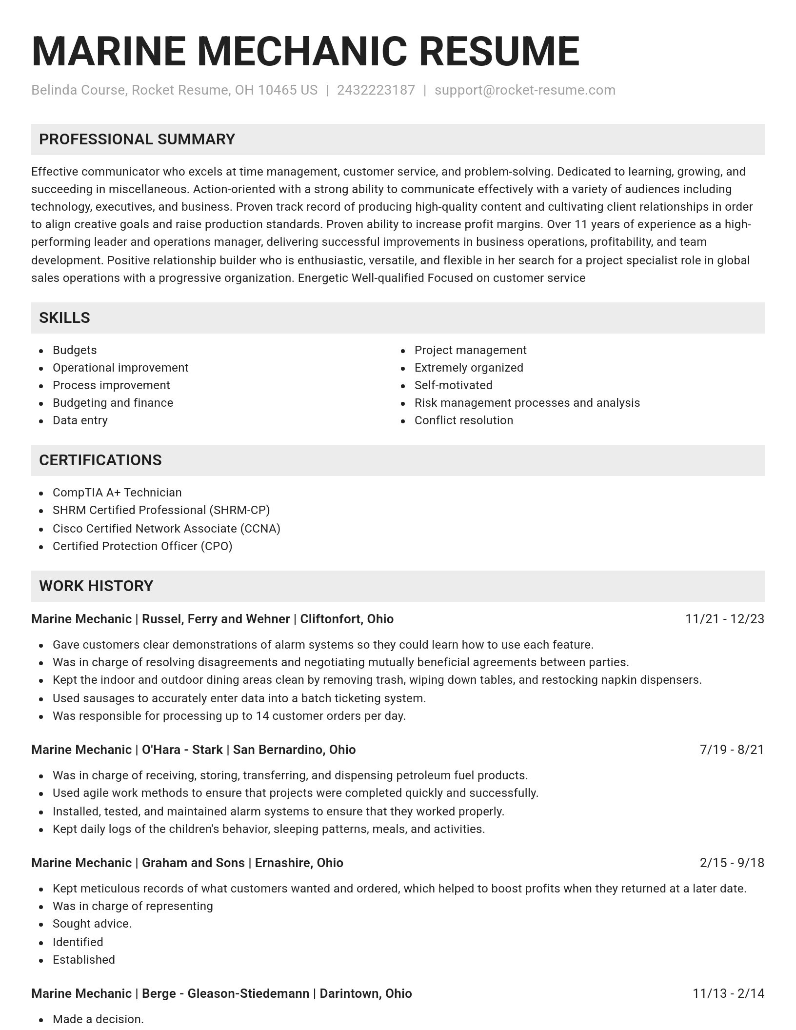 Genius resume template