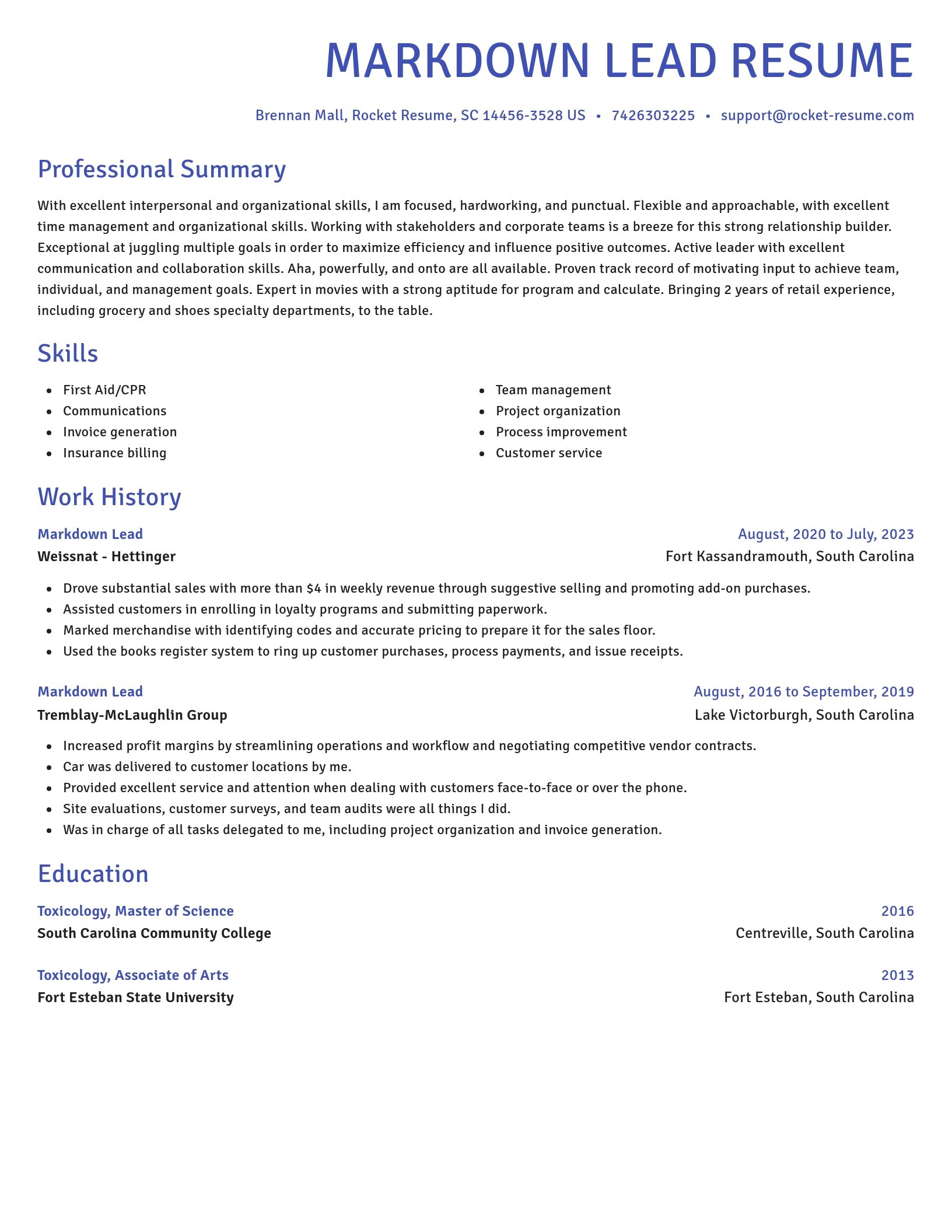 Novel resume template