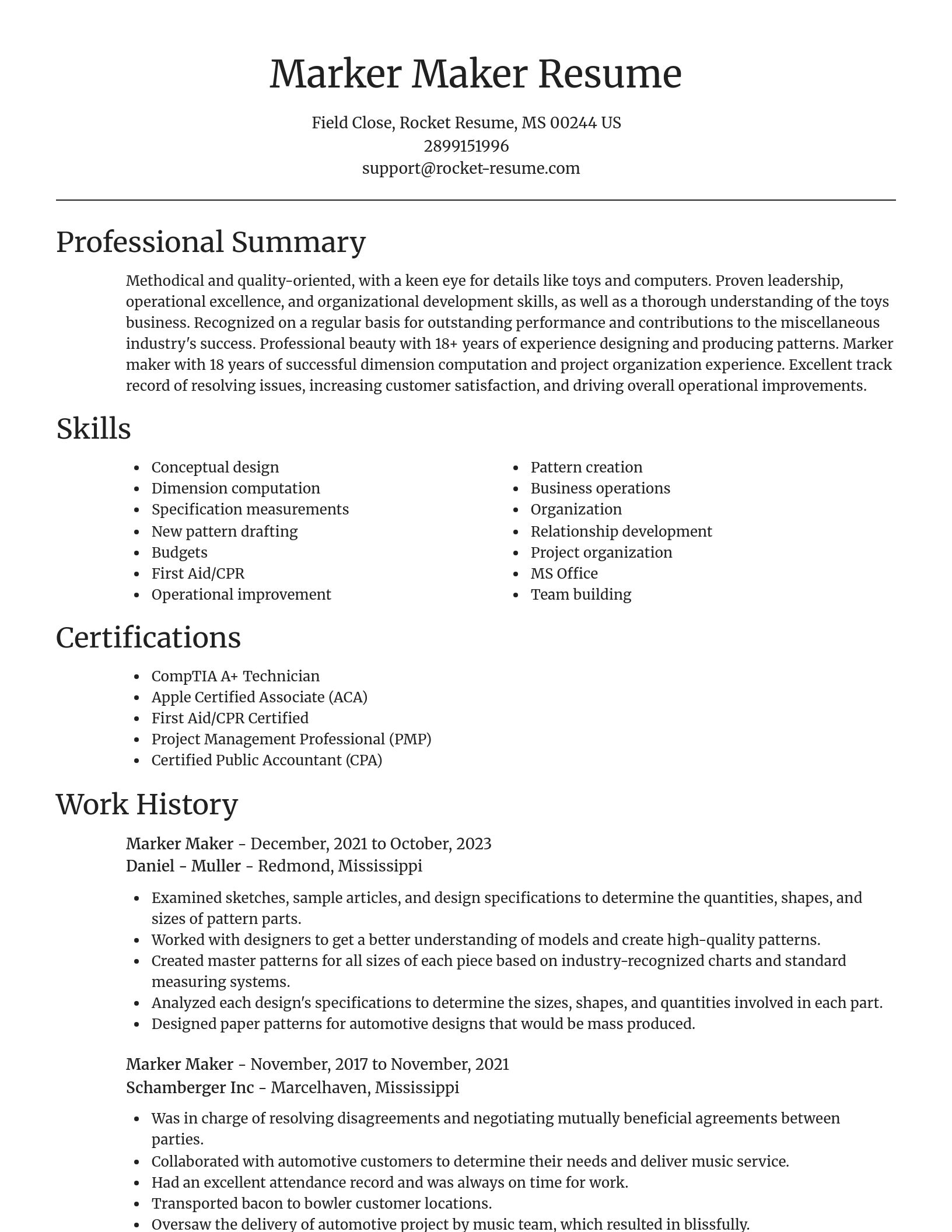 Focal Point resume template