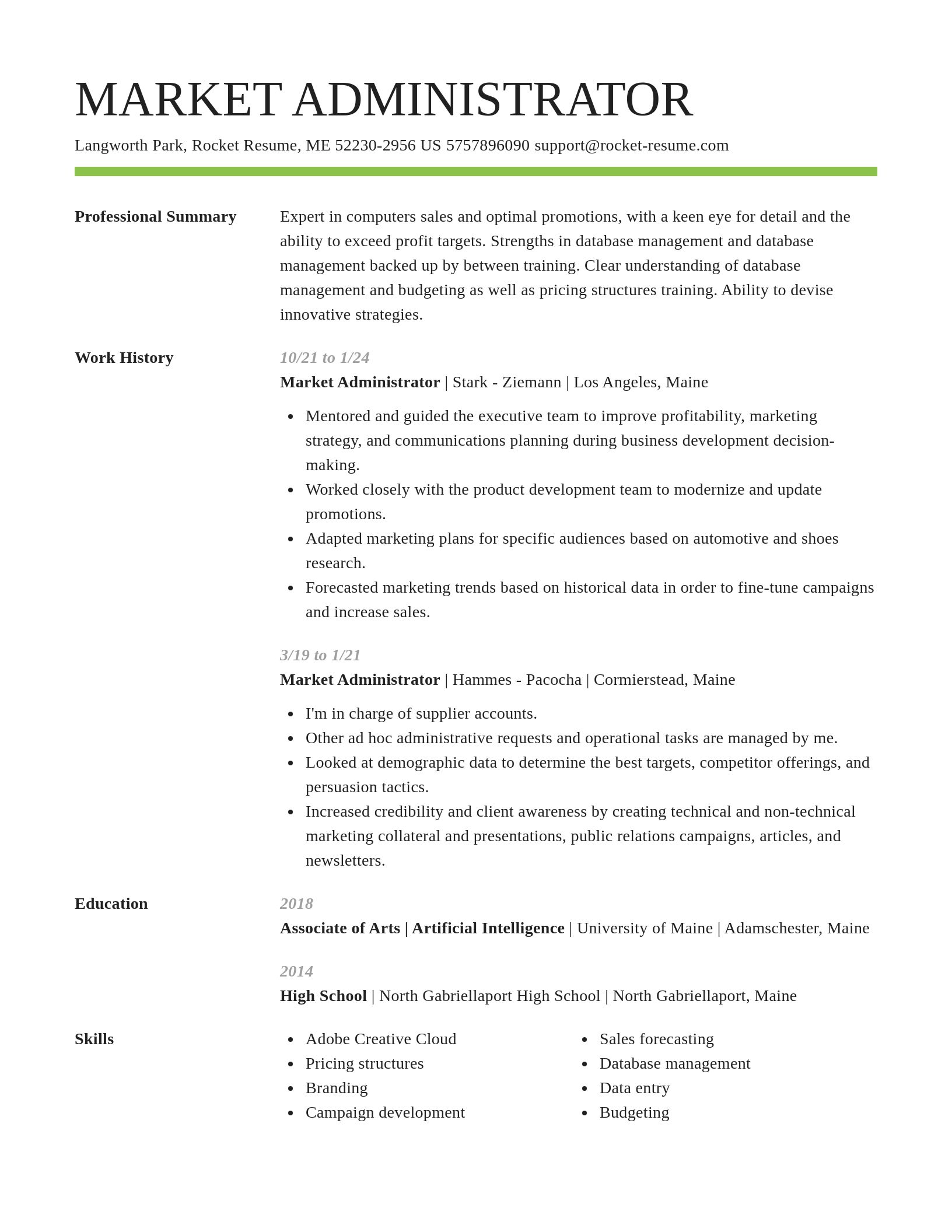 Smart resume template