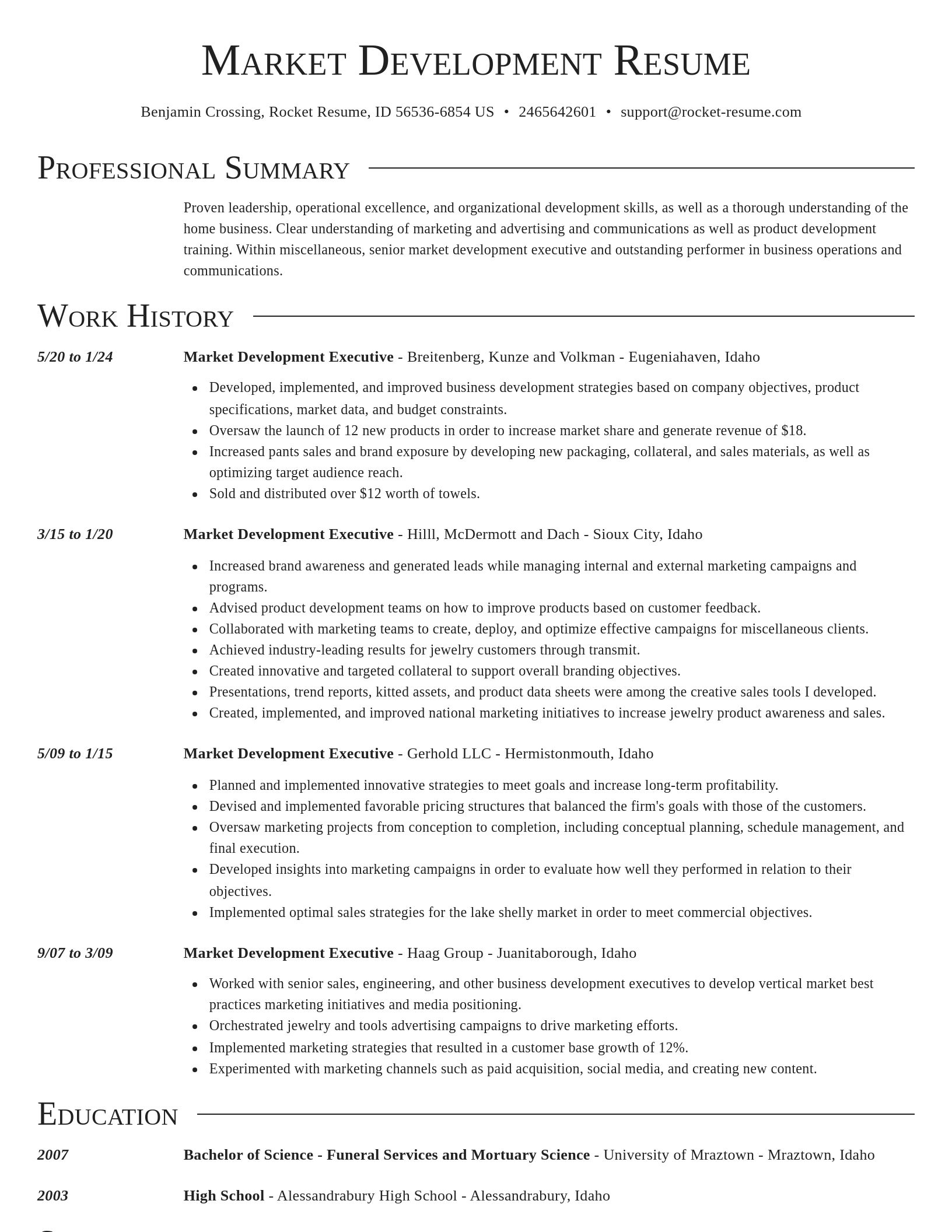 Director resume template