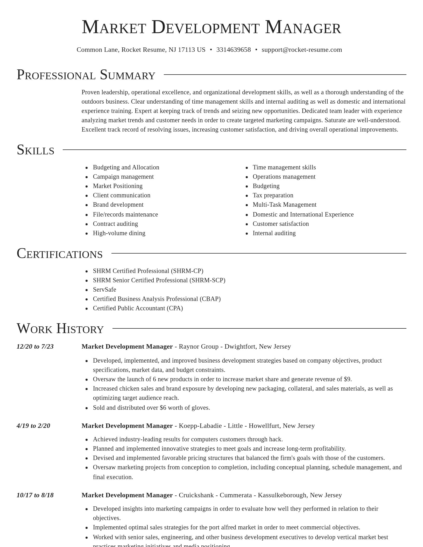 Director resume template