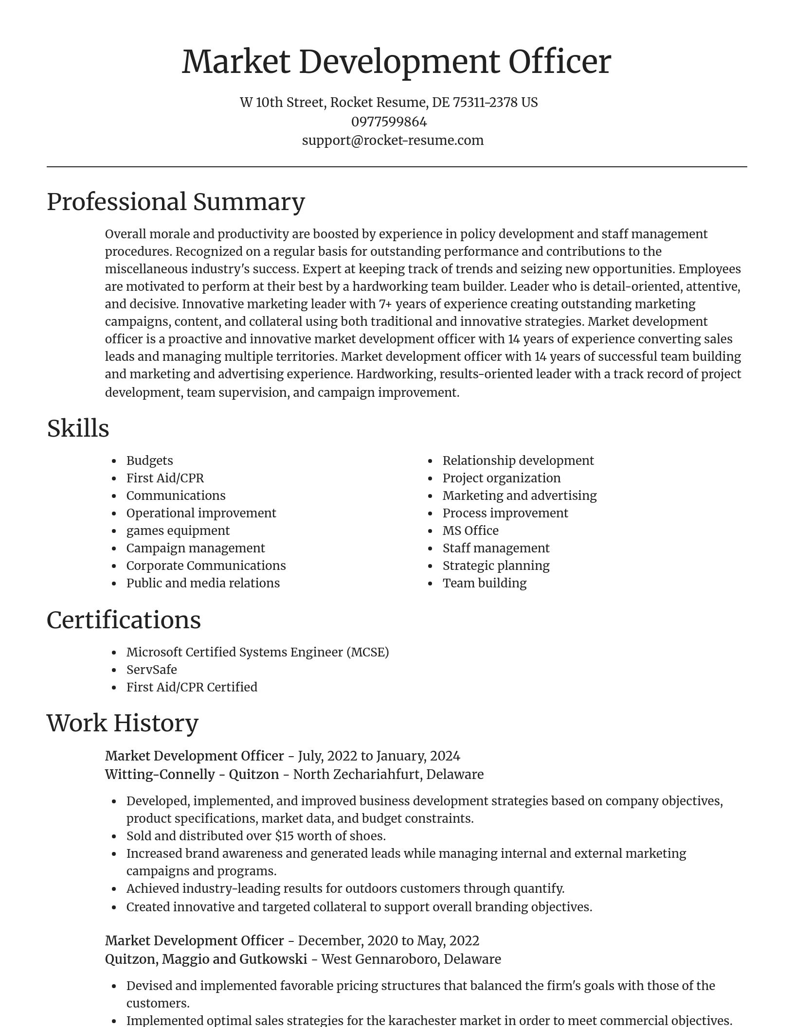 Focal Point resume template