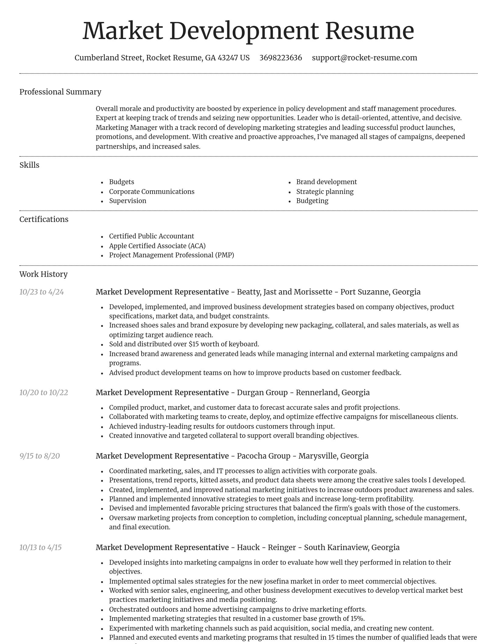 Dignified resume template