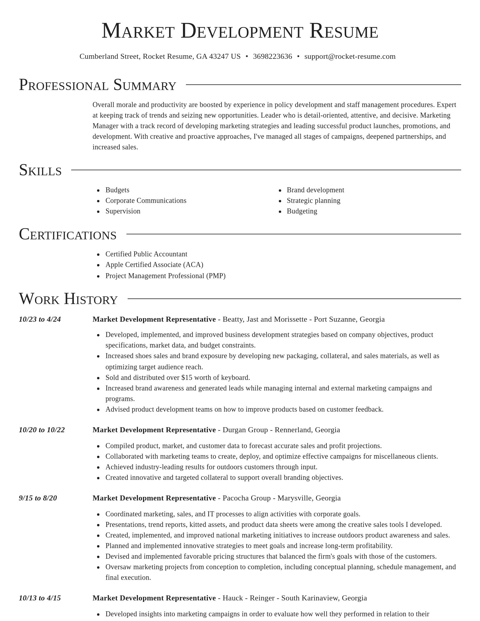 Director resume template