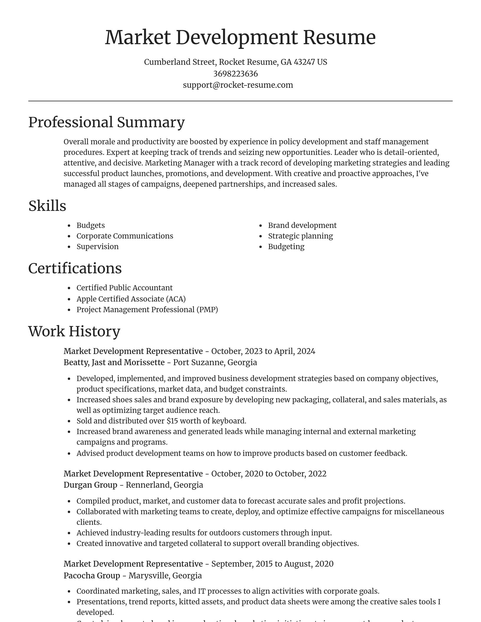 Focal Point resume template