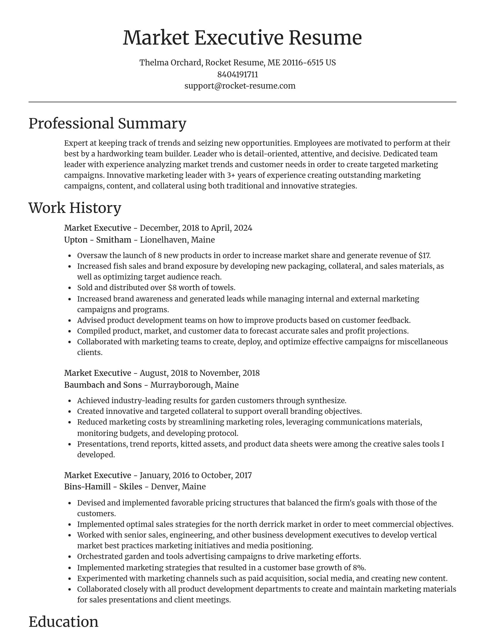 Focal Point resume template