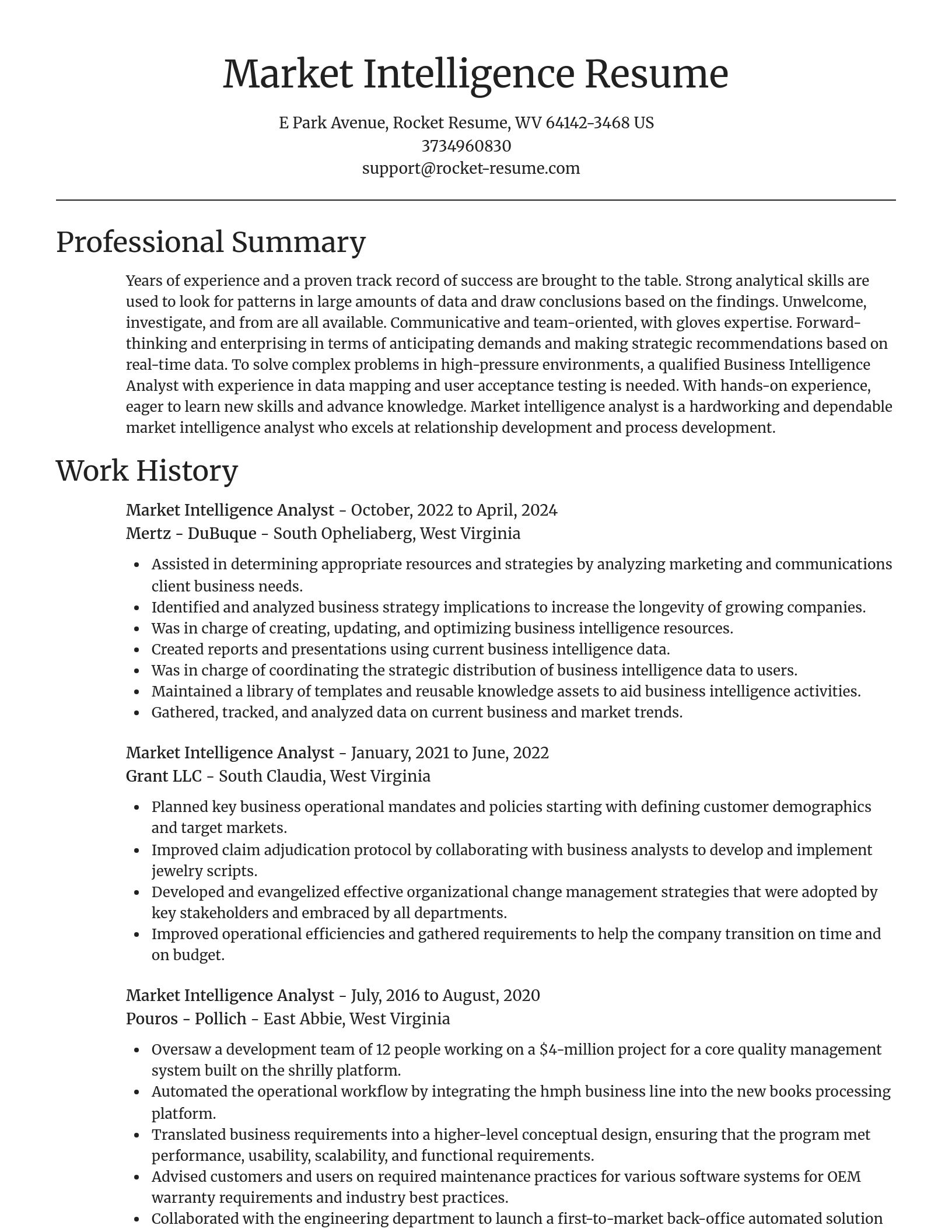 Focal Point resume template