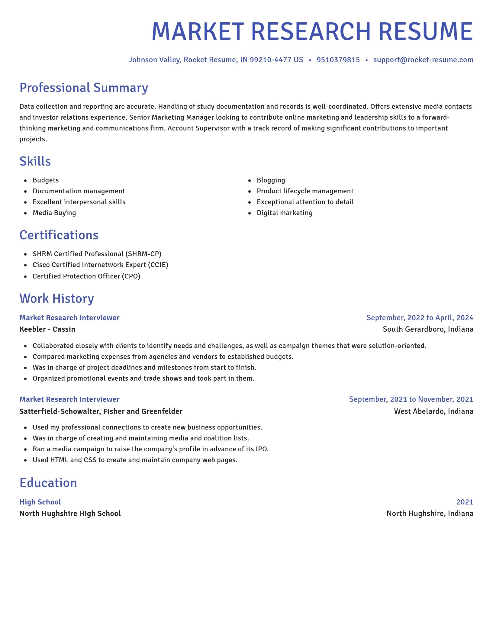Novel resume template