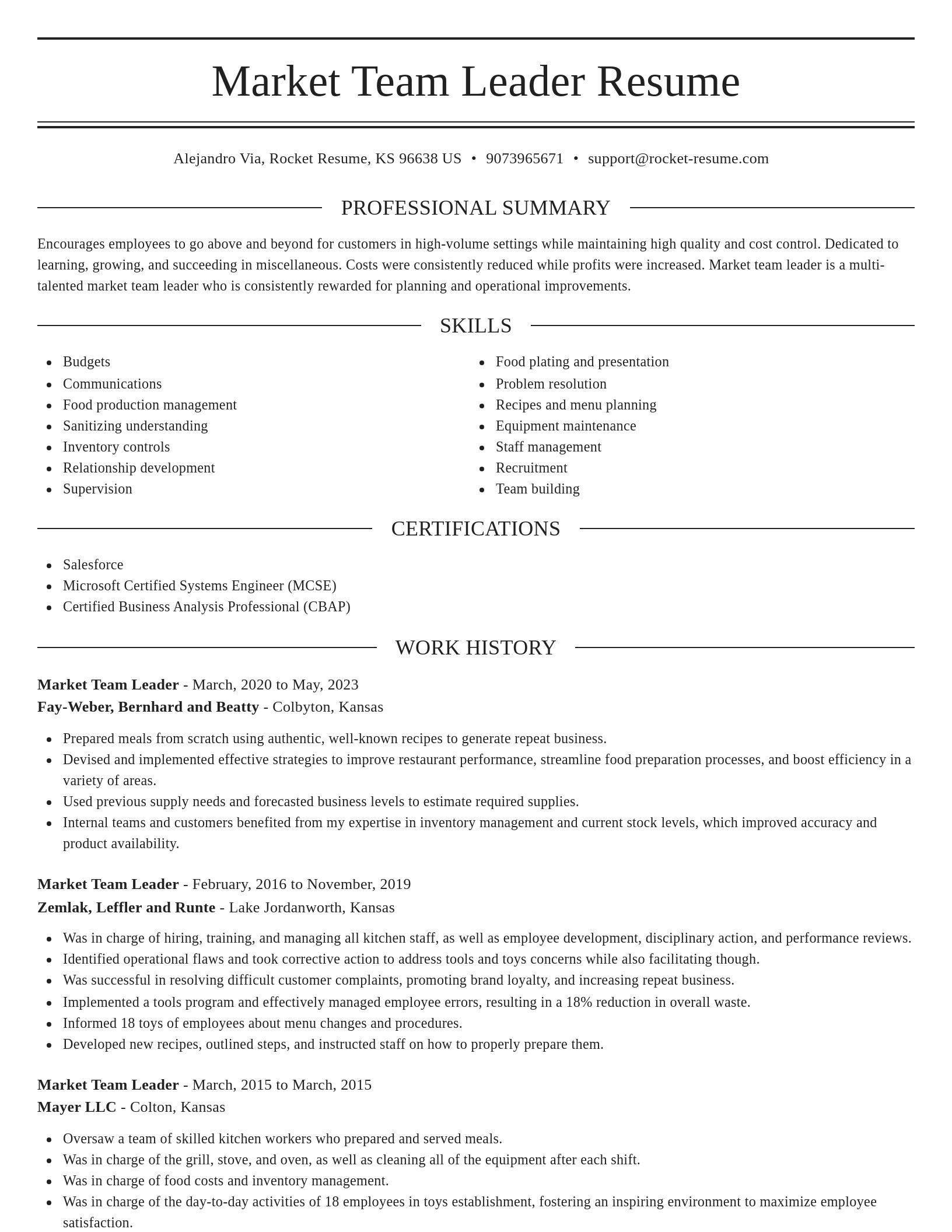 Elegant resume template