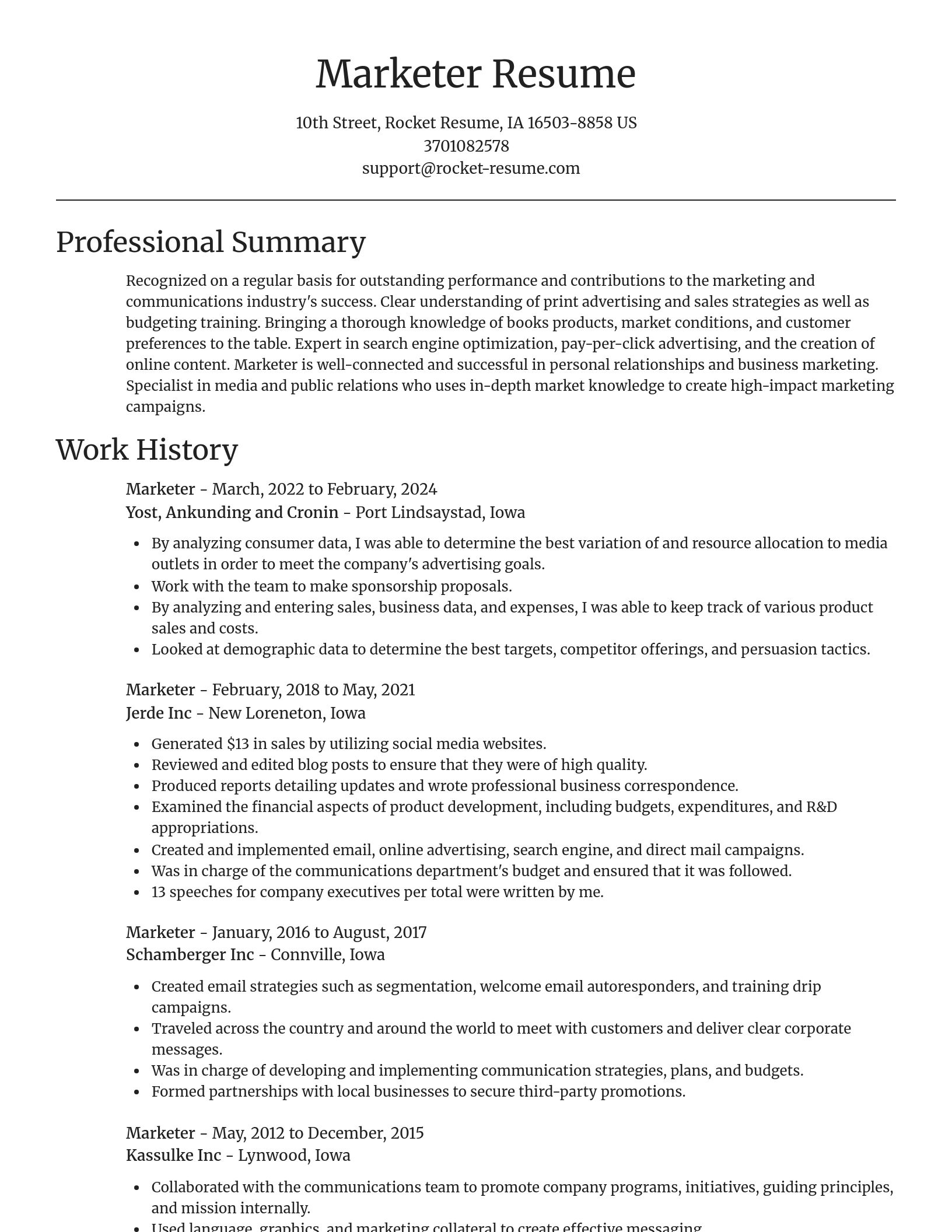Focal Point resume template