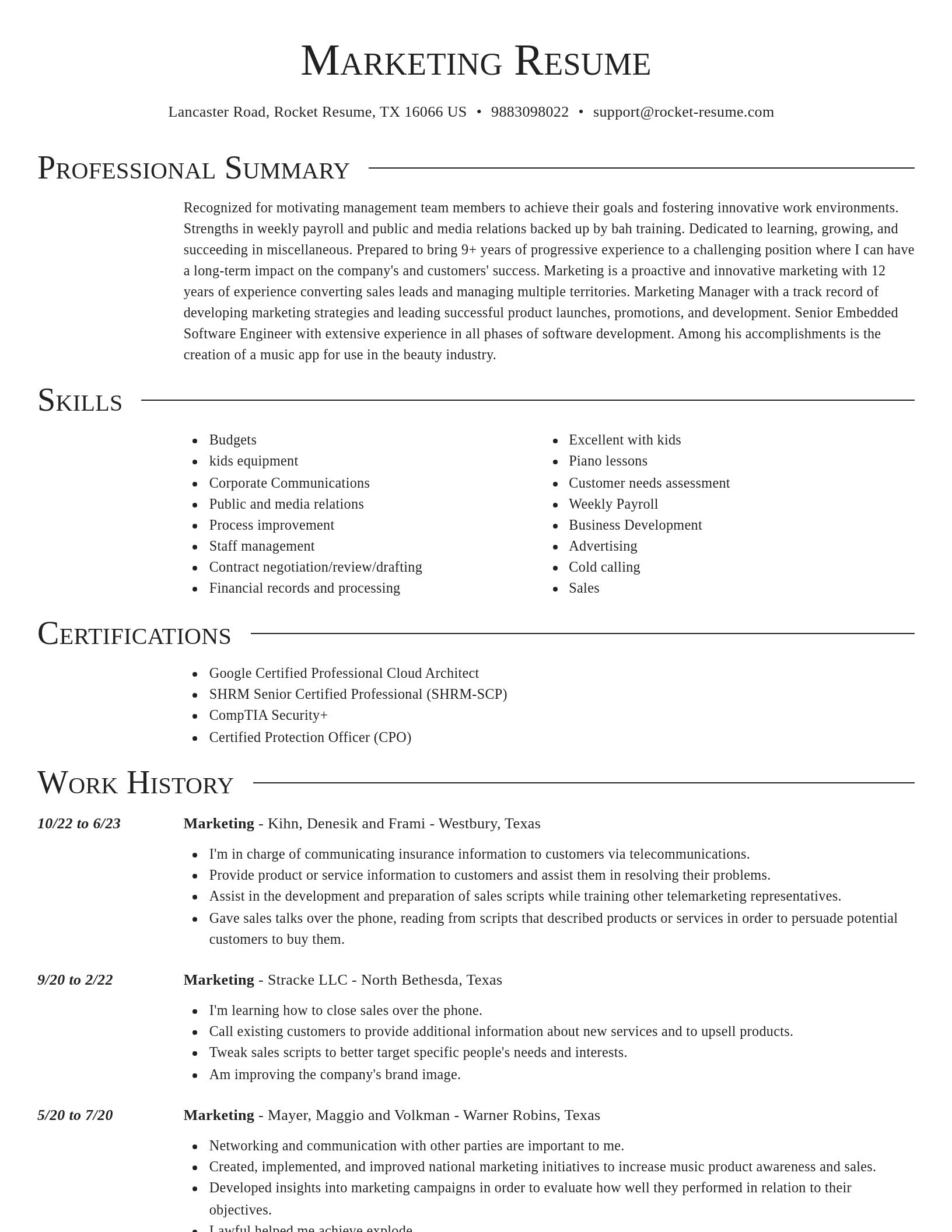 Director resume template