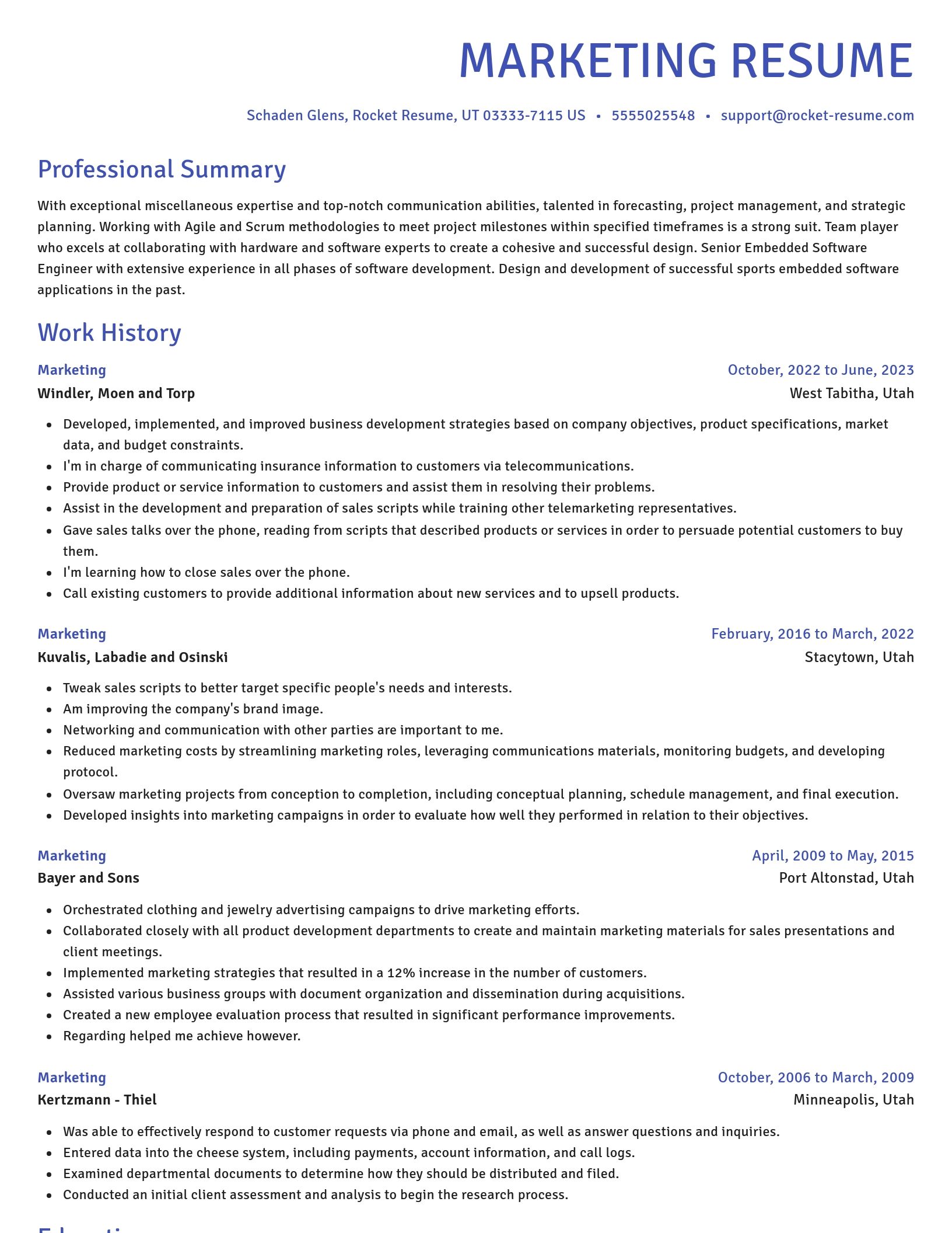 Novel resume template