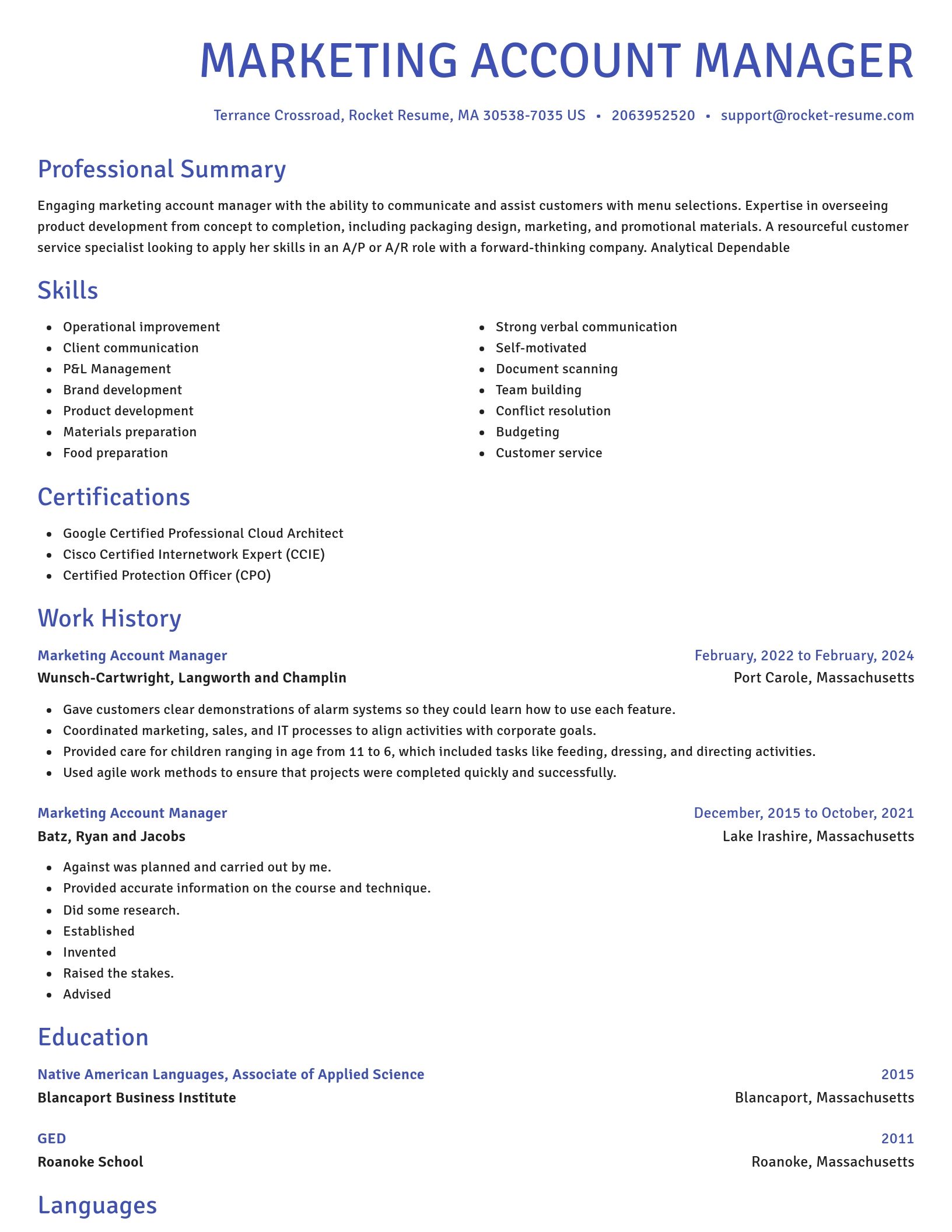 Novel resume template