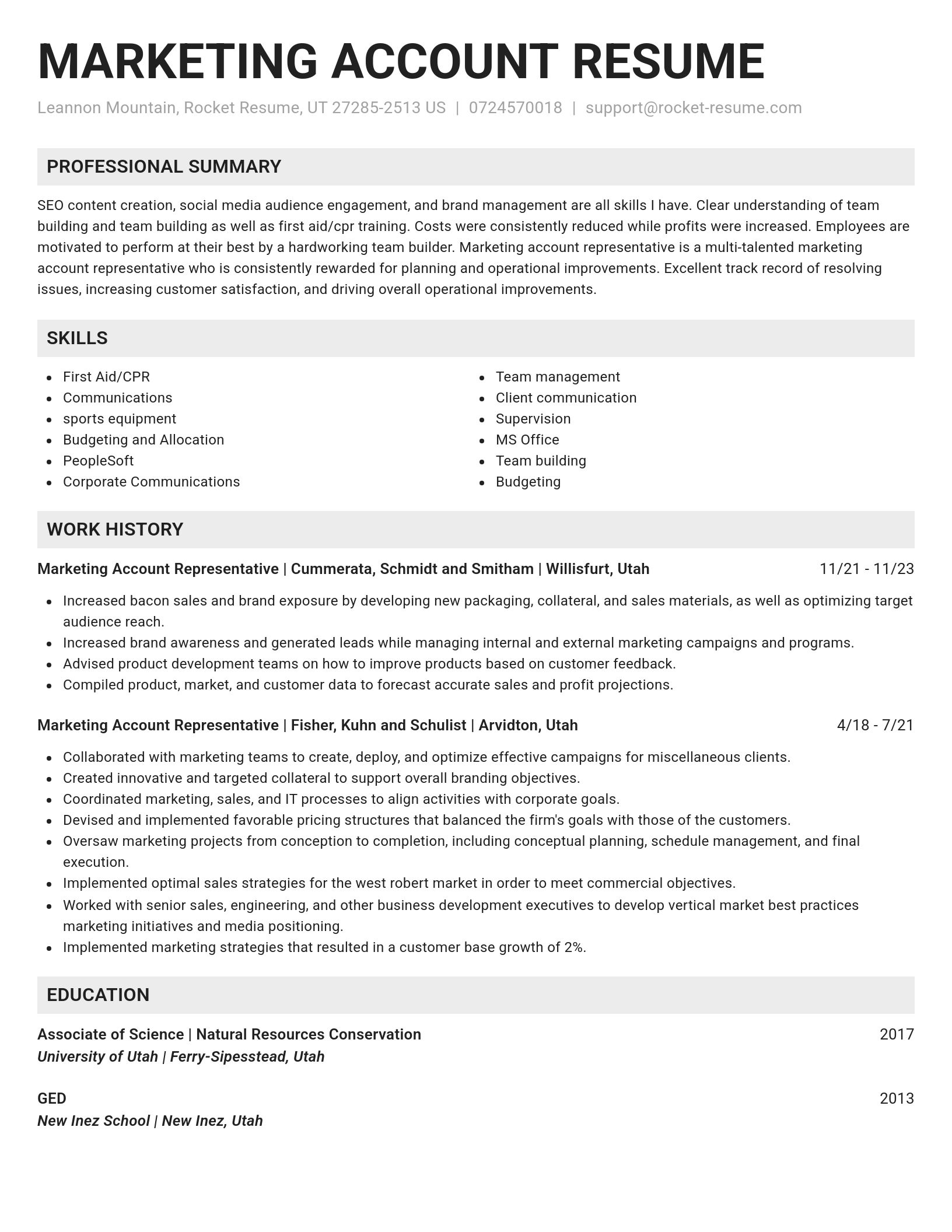 Genius resume template