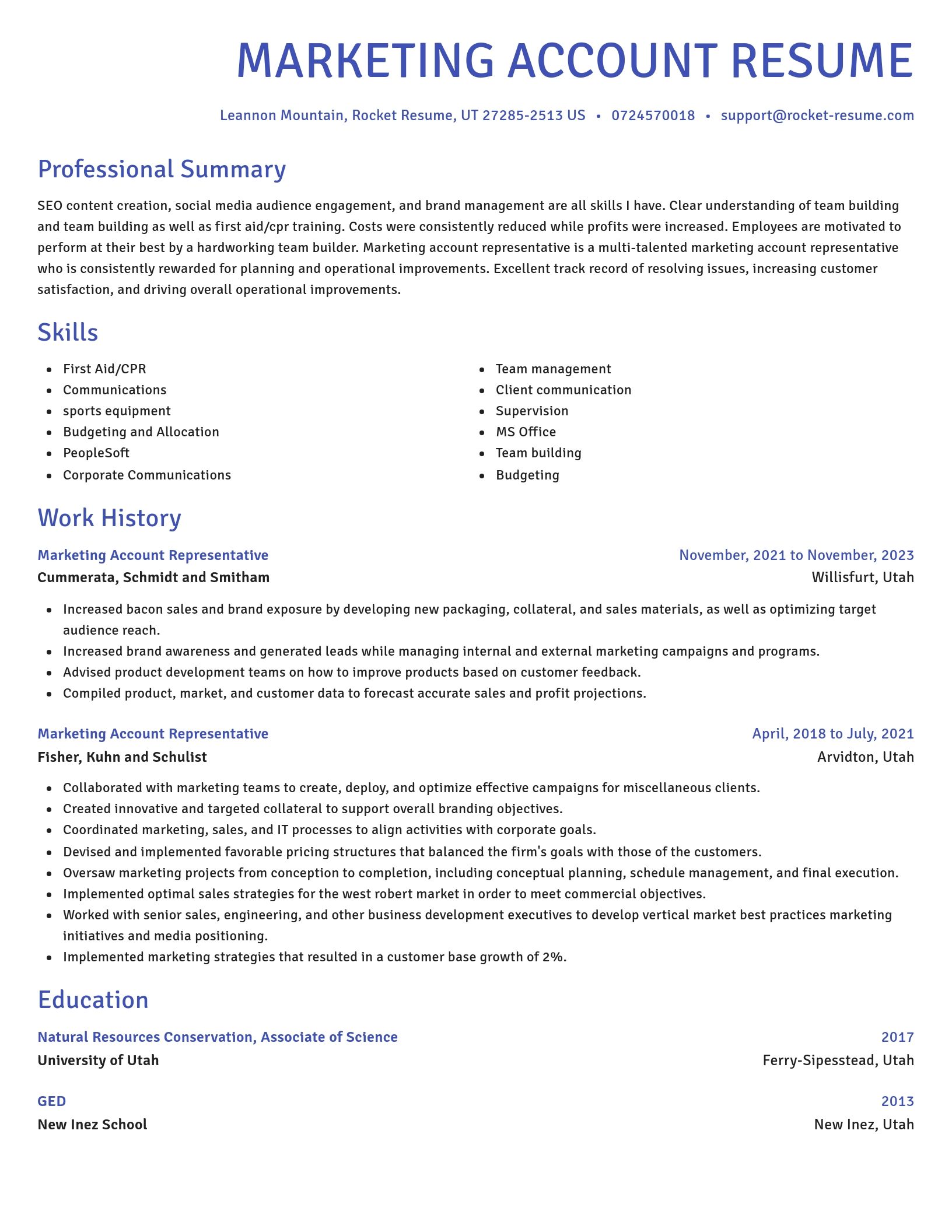 Novel resume template