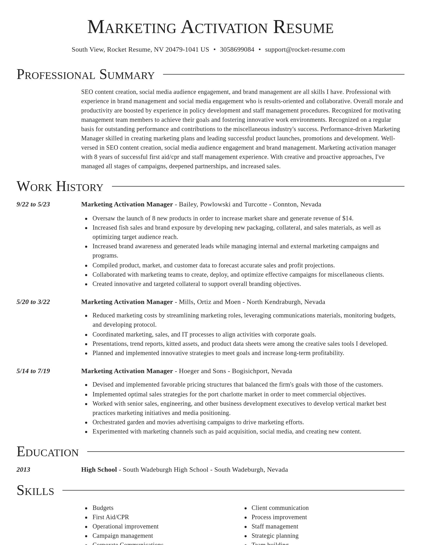 Director resume template