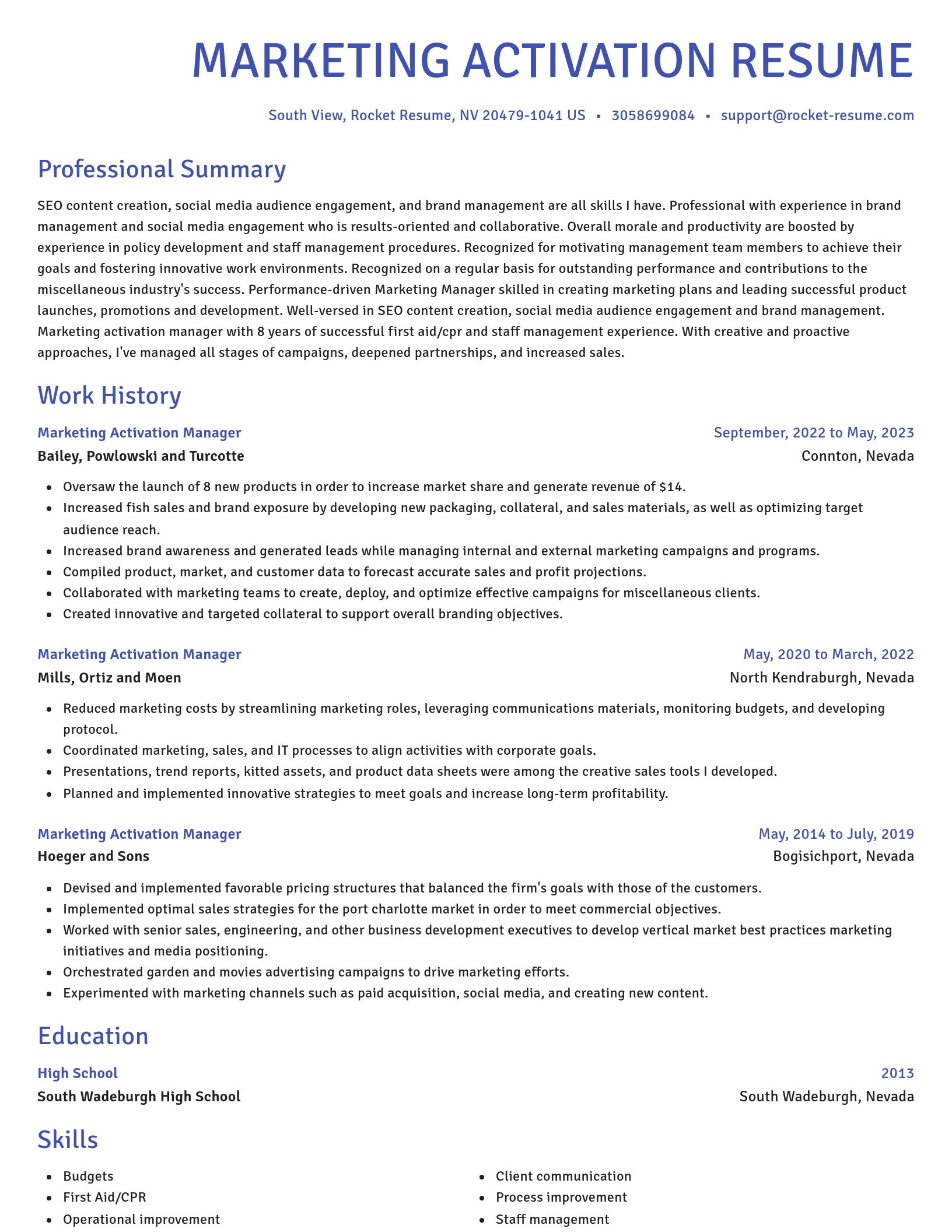 Novel resume template