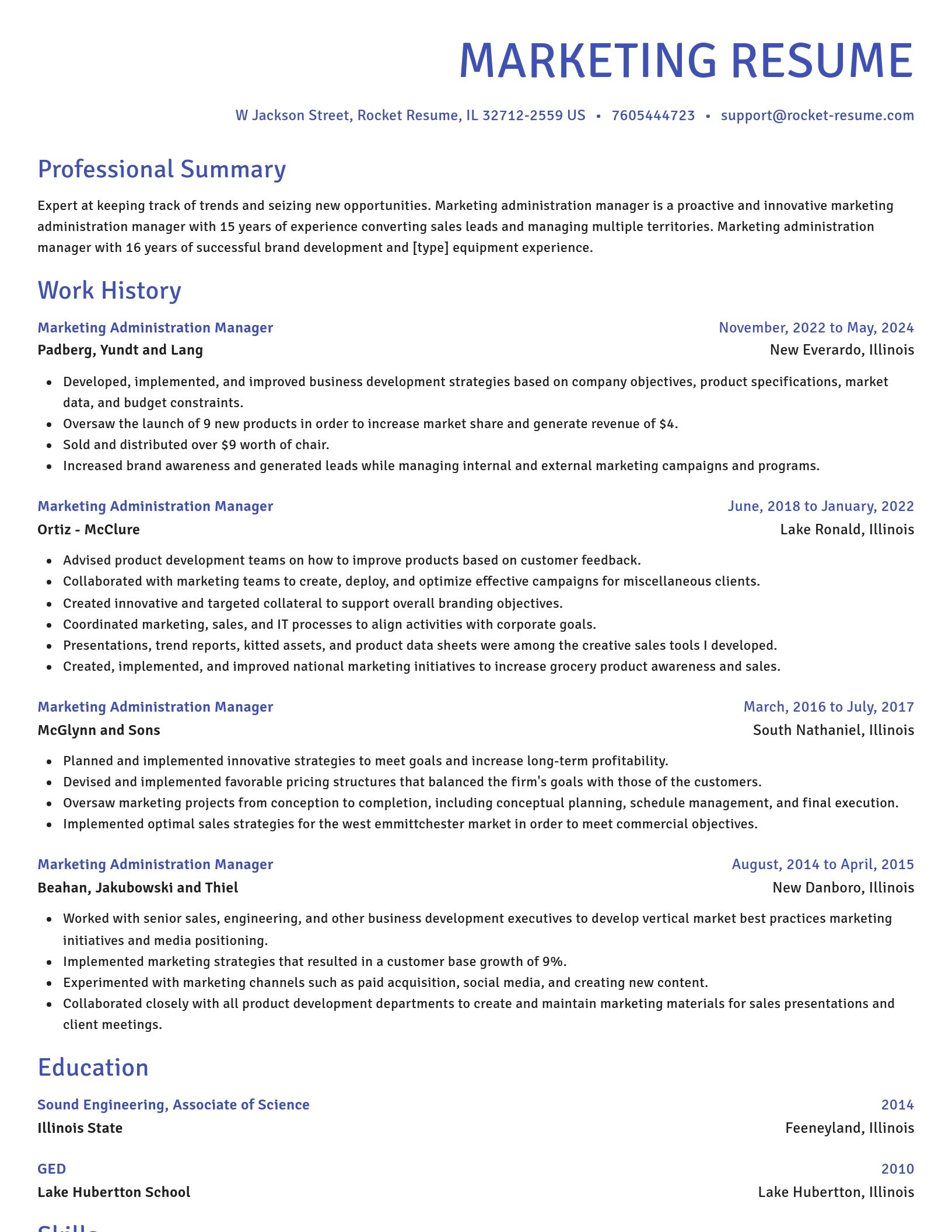 Novel resume template