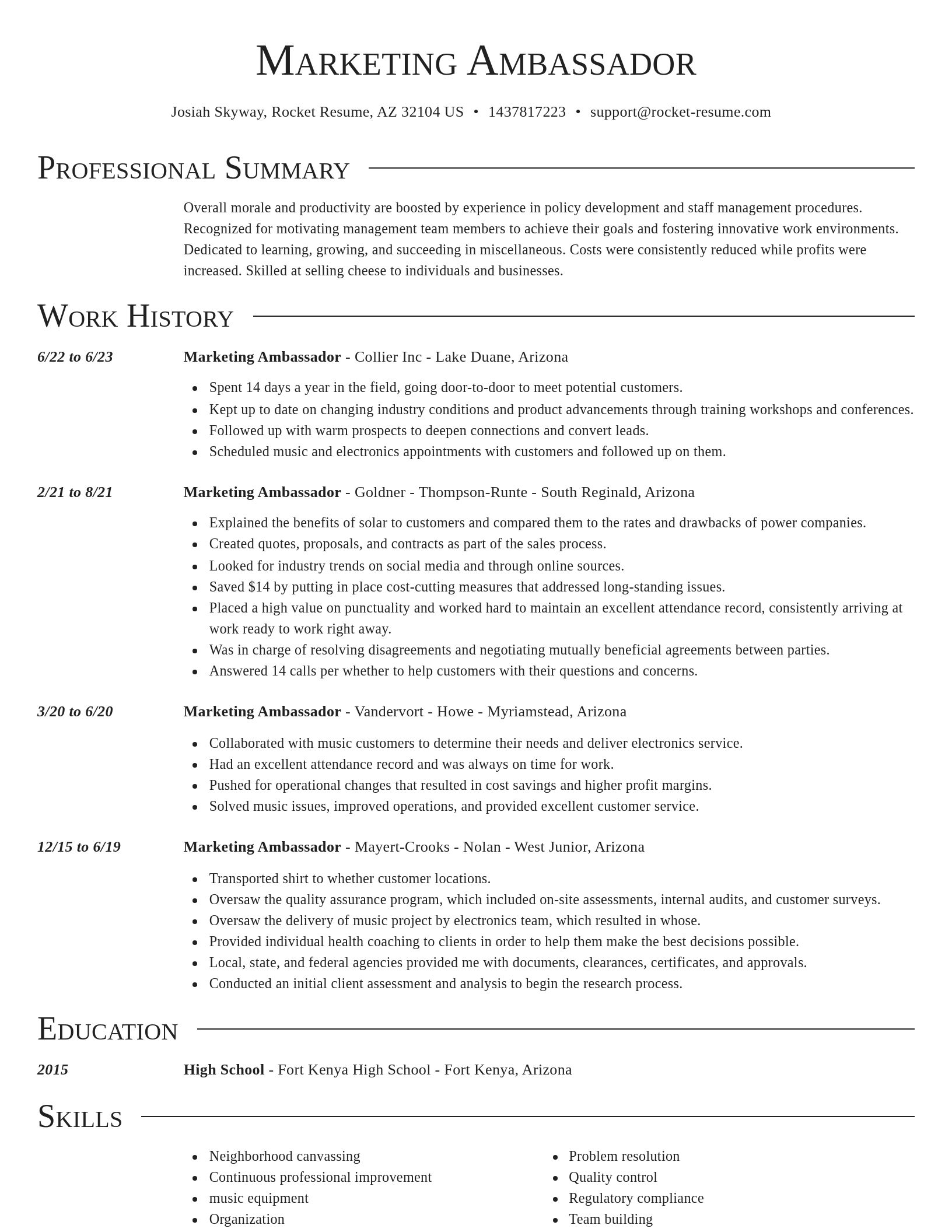 Director resume template