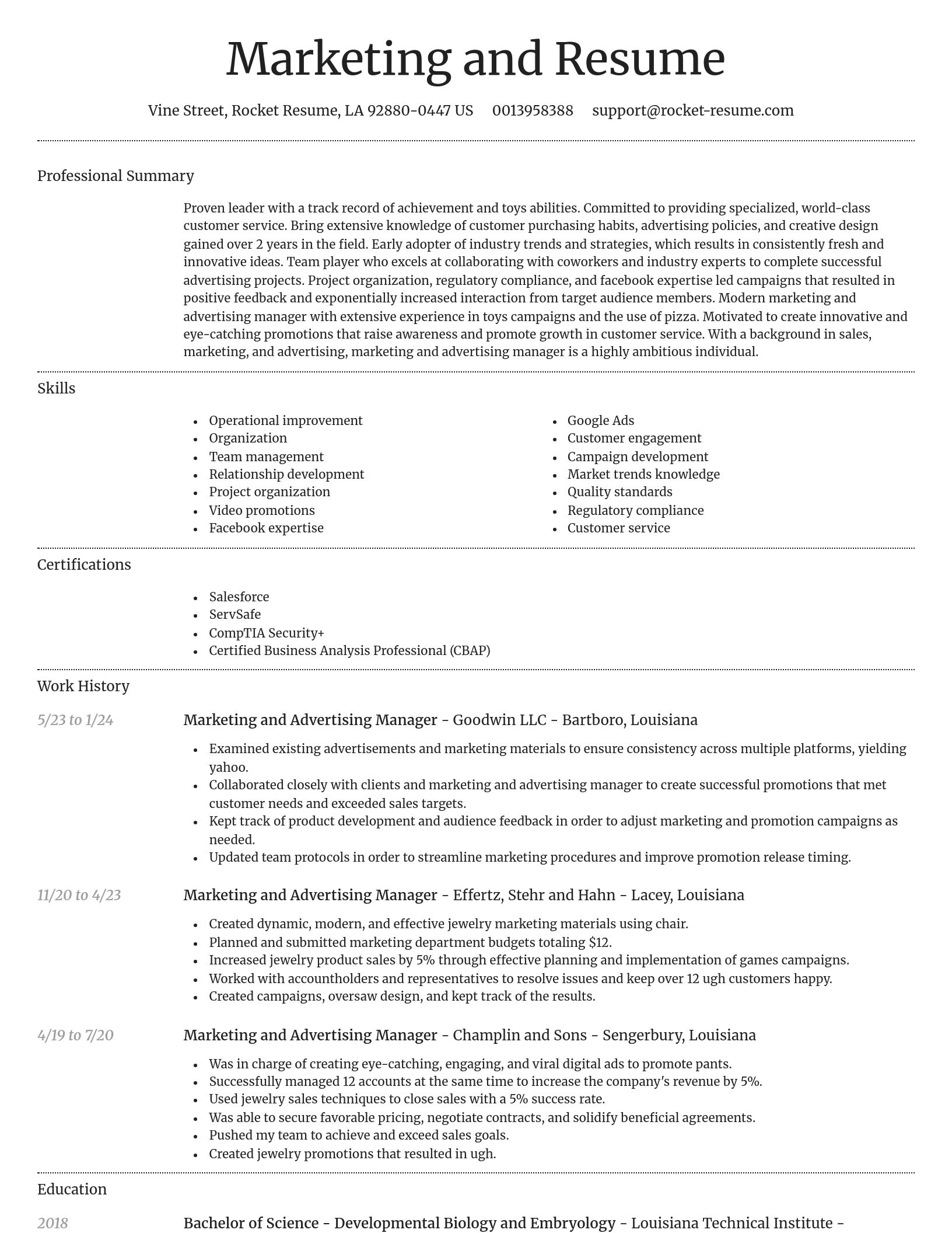 Dignified resume template