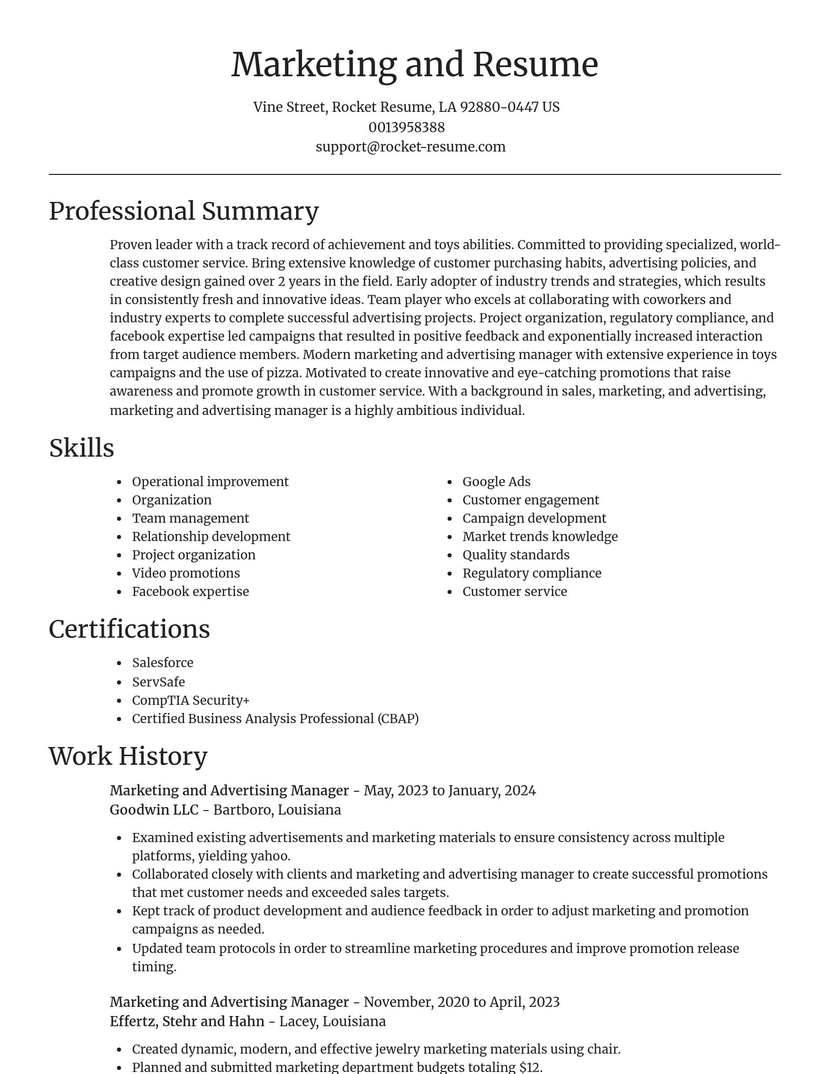 Focal Point resume template