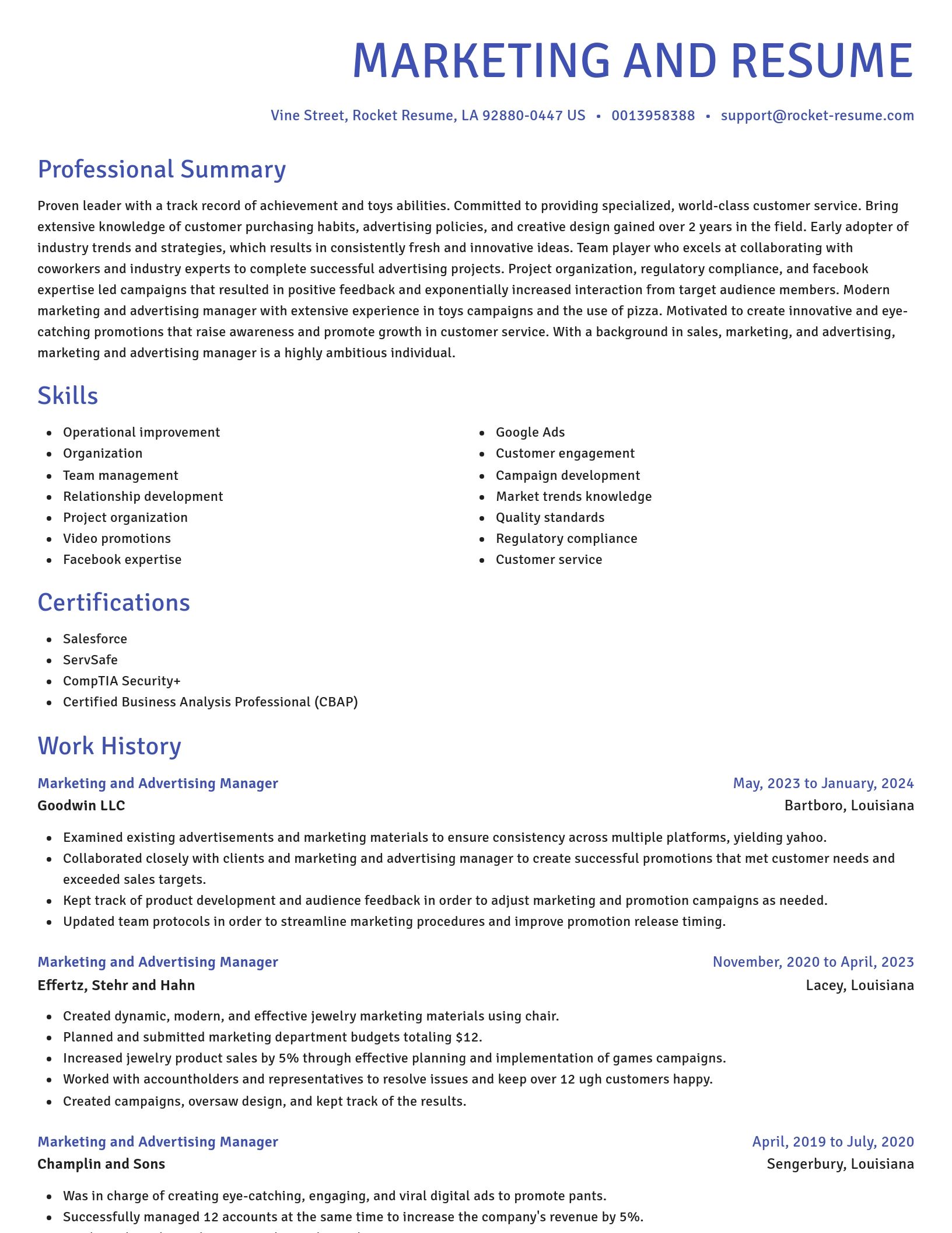 Novel resume template
