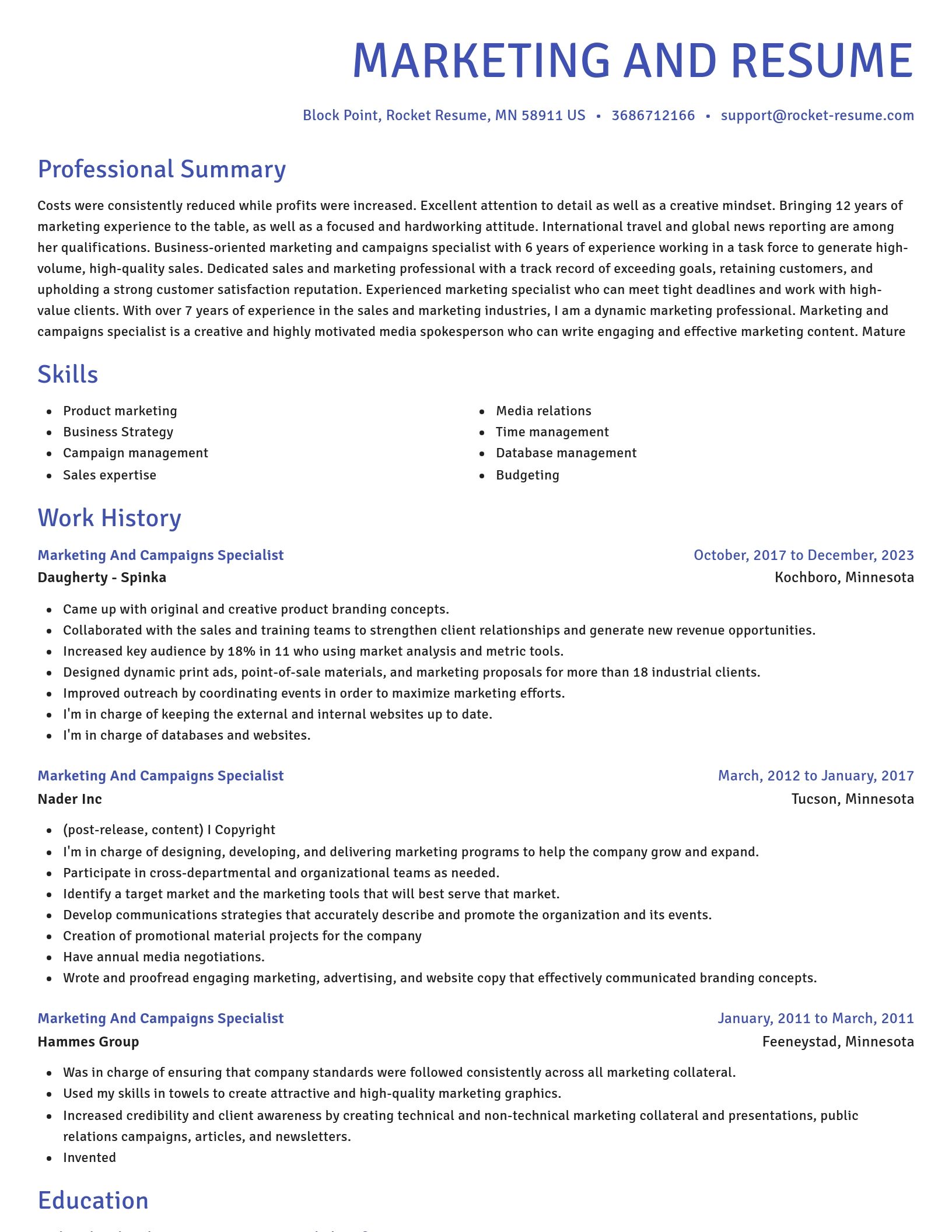 Novel resume template
