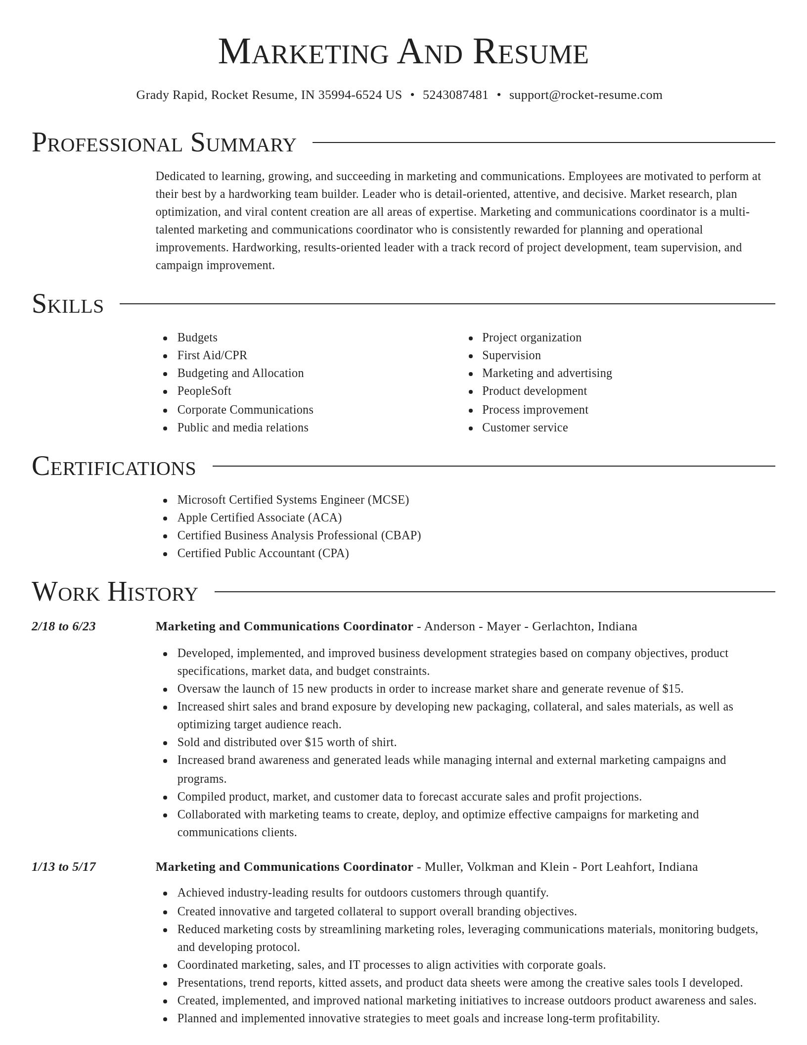 Director resume template