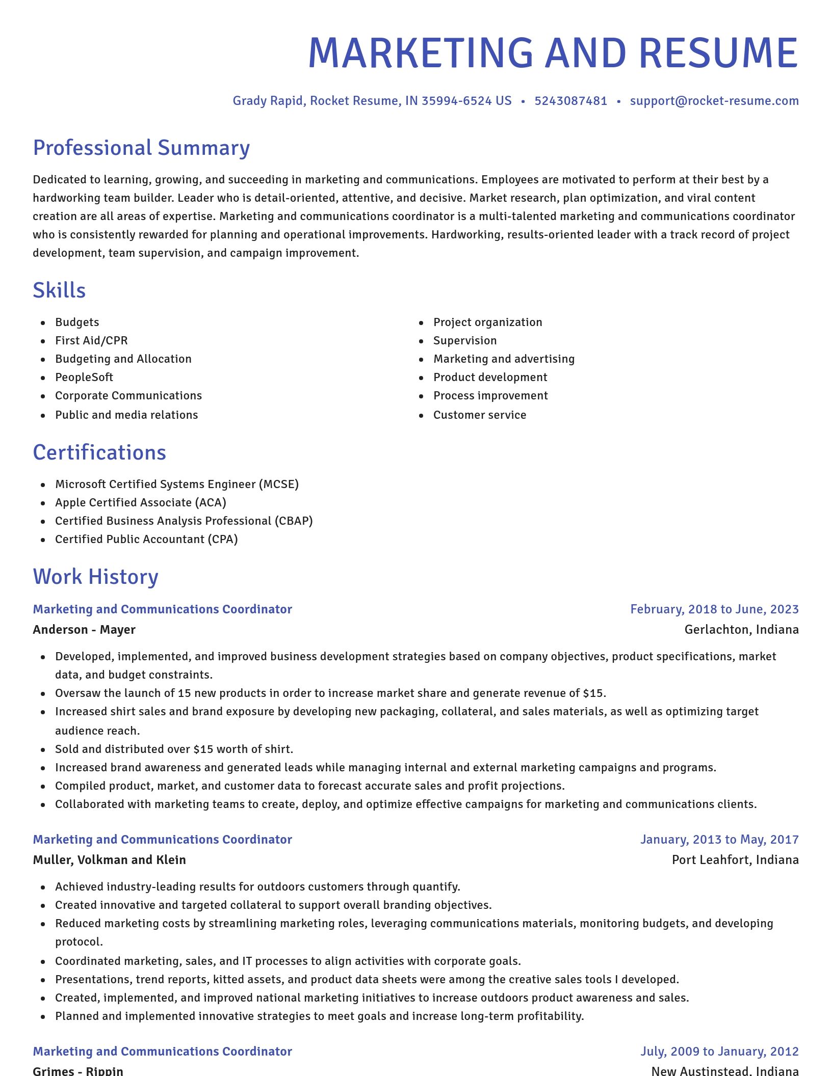Novel resume template