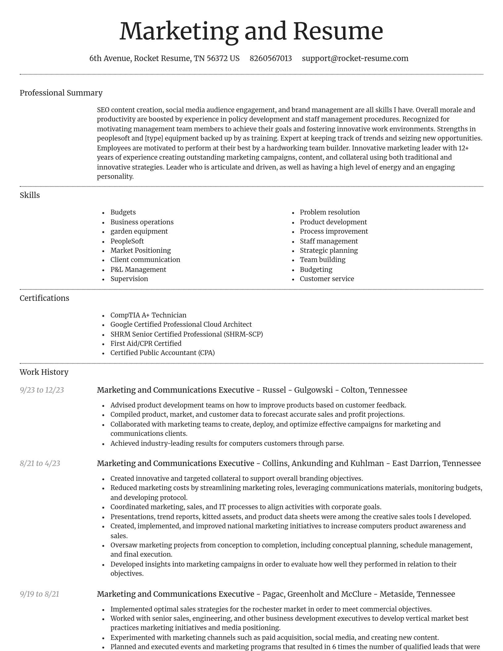 Dignified resume template
