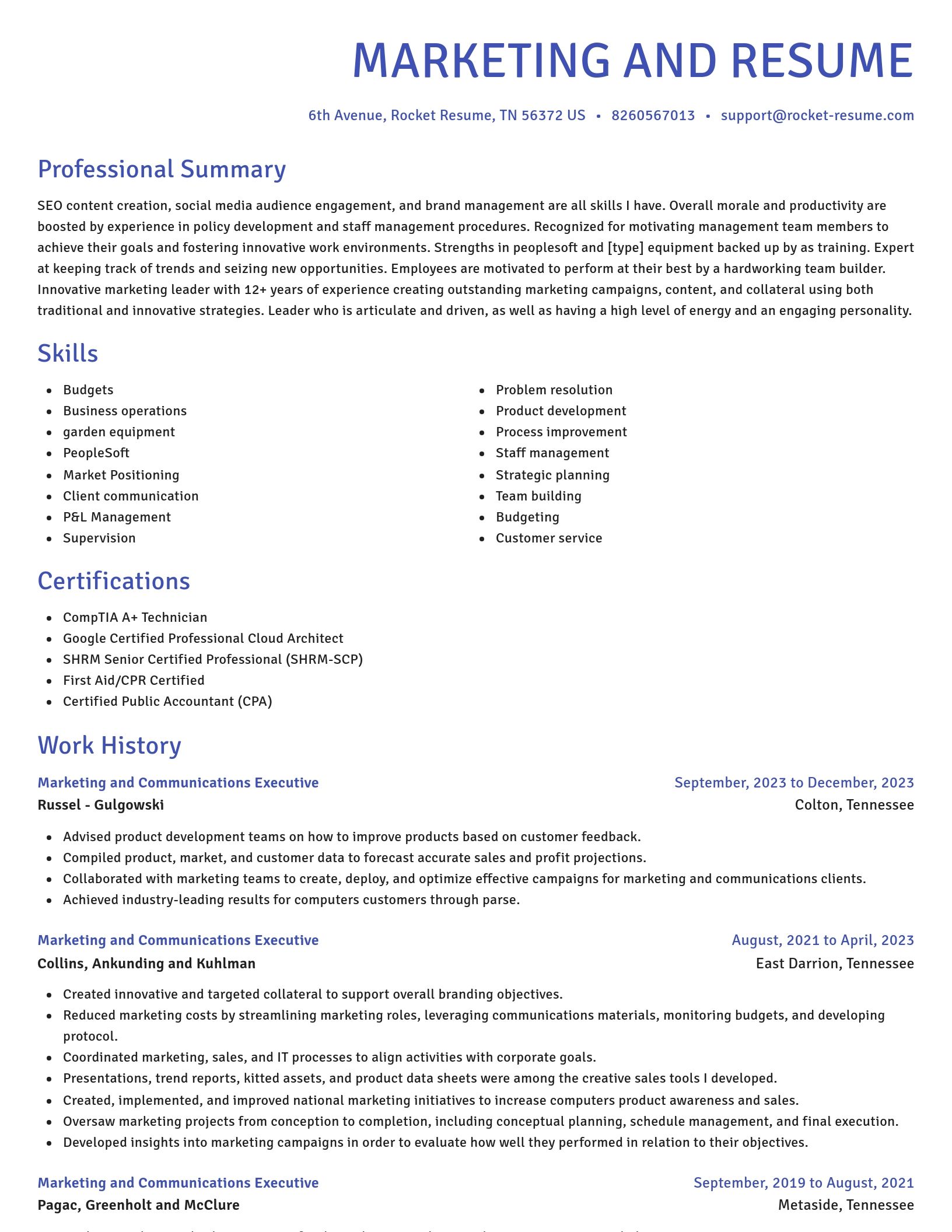 Novel resume template