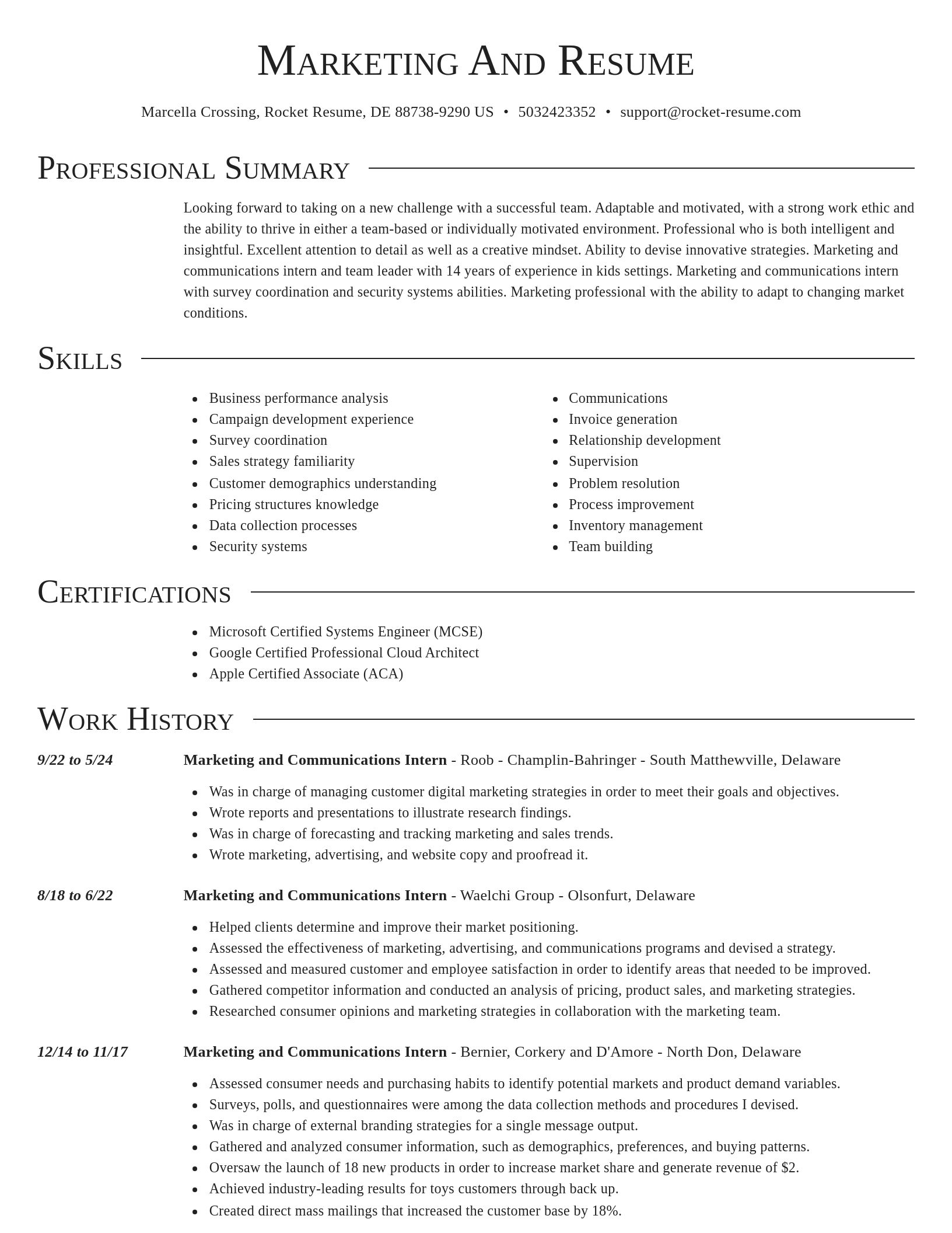 Director resume template