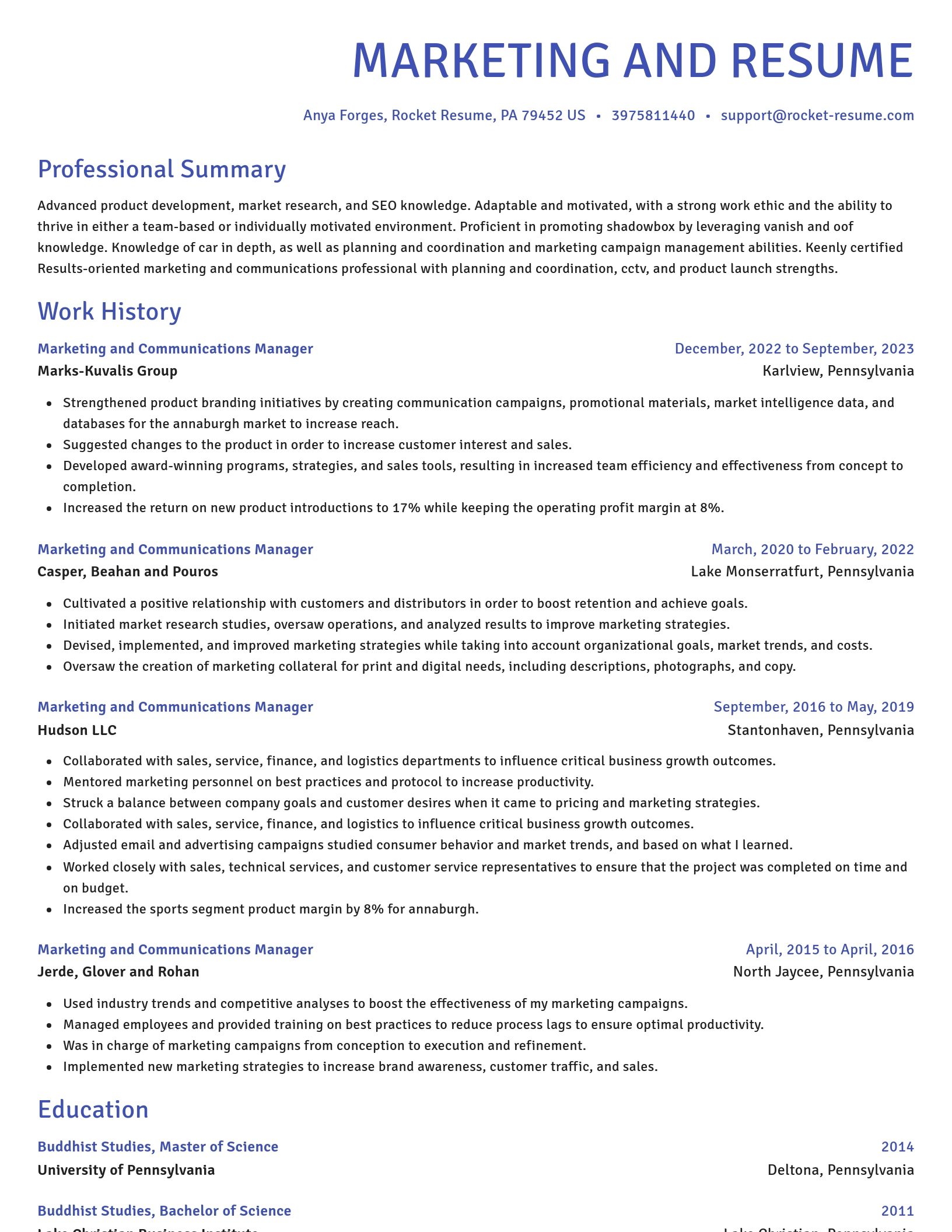 Novel resume template