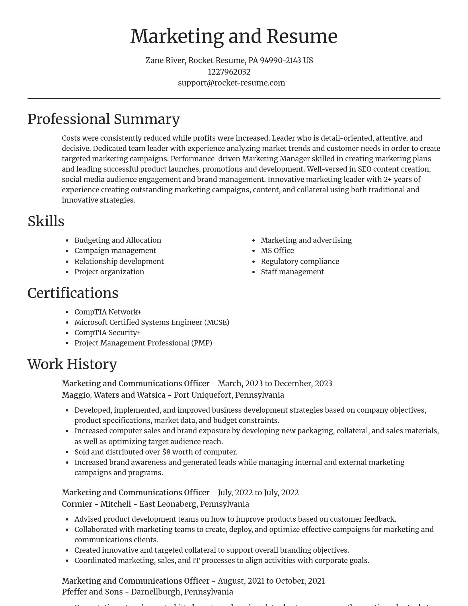 Focal Point resume template