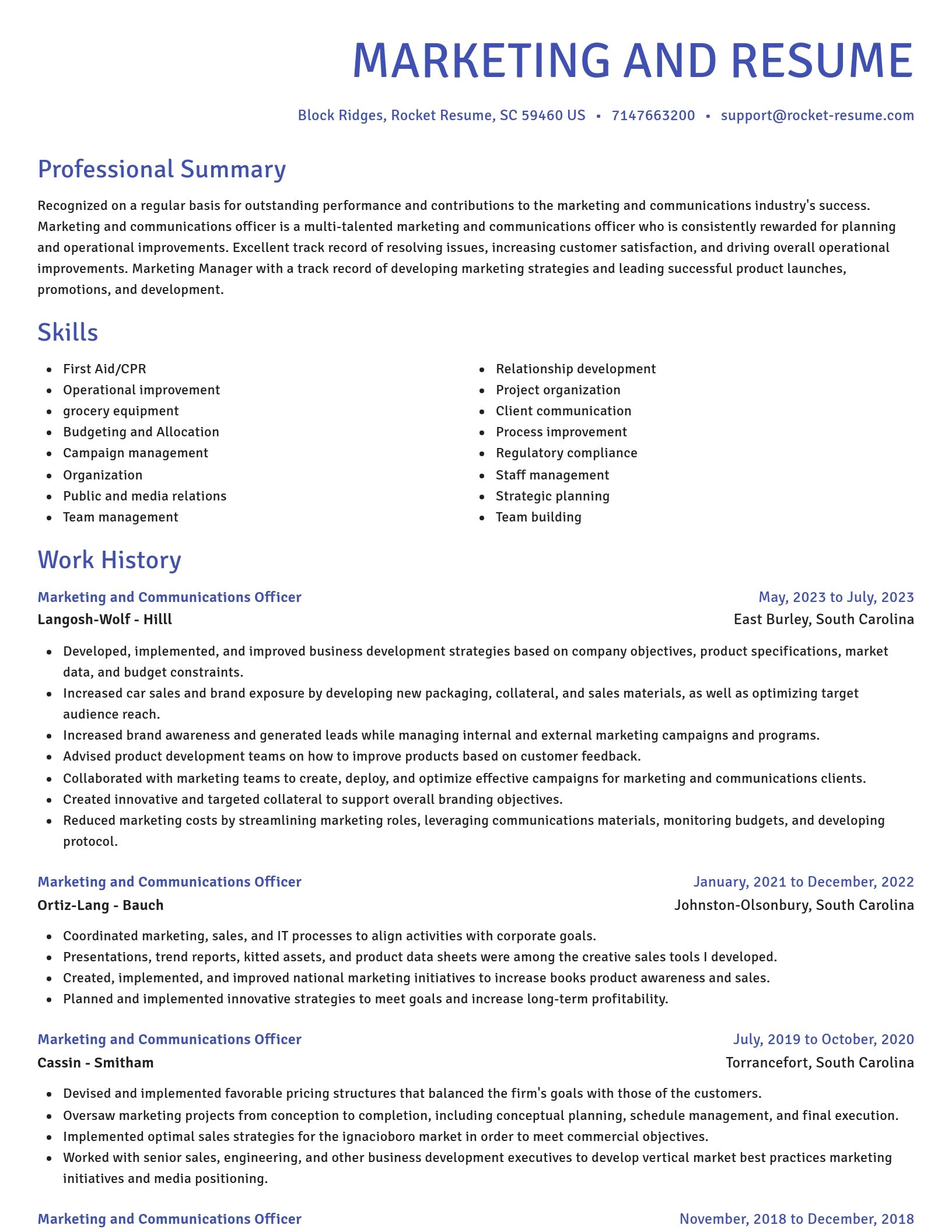 Novel resume template