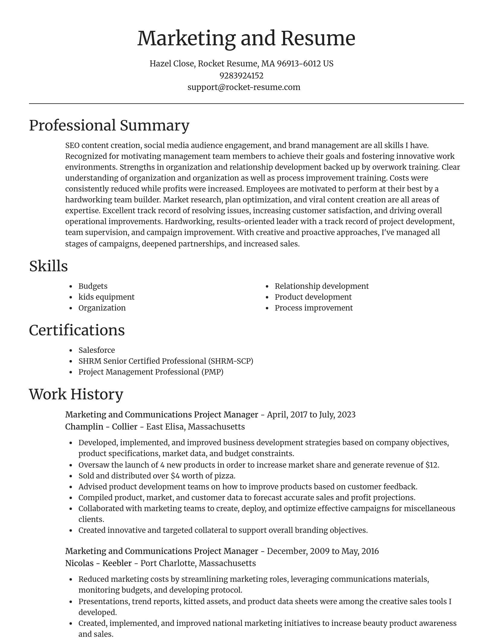 Focal Point resume template