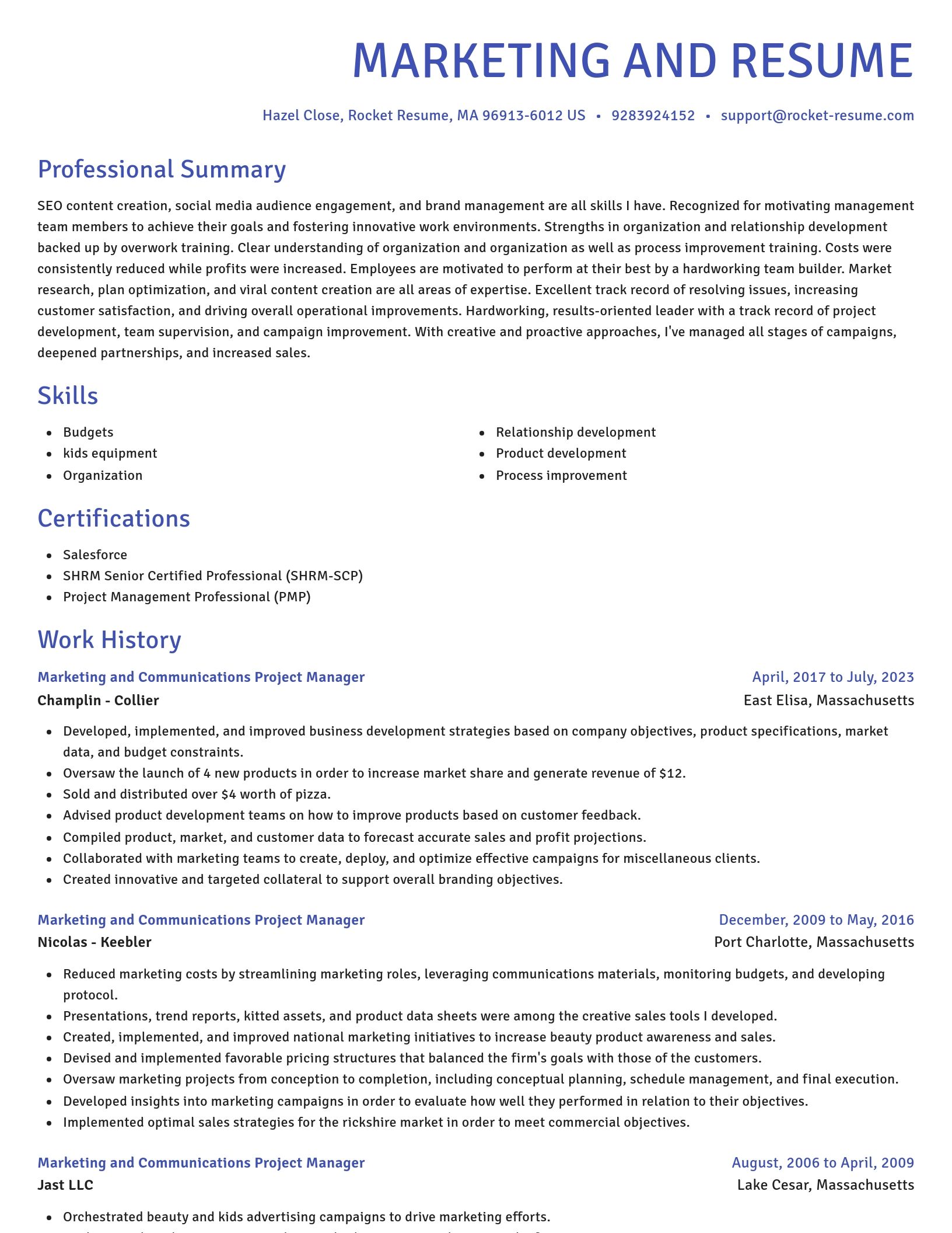 Novel resume template