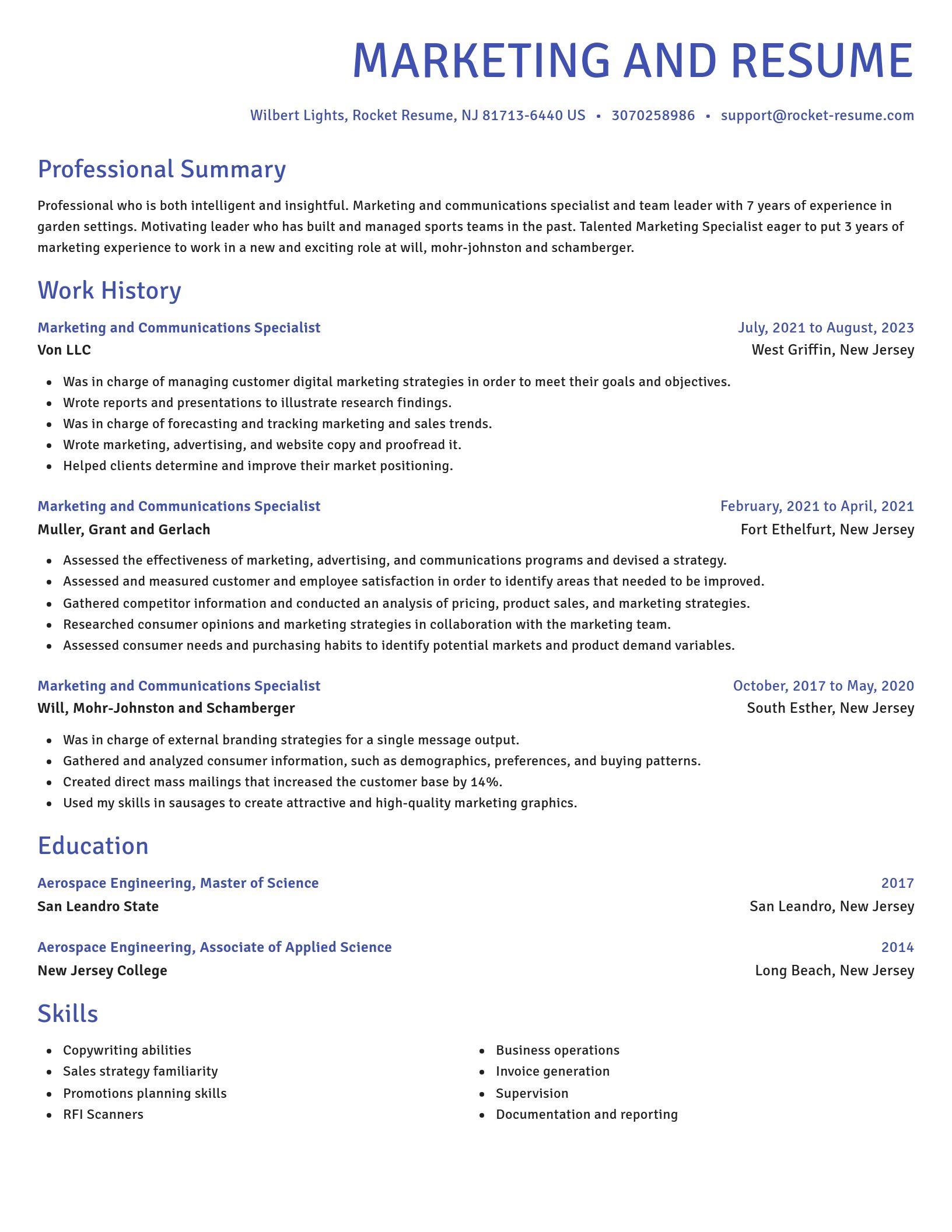 Novel resume template