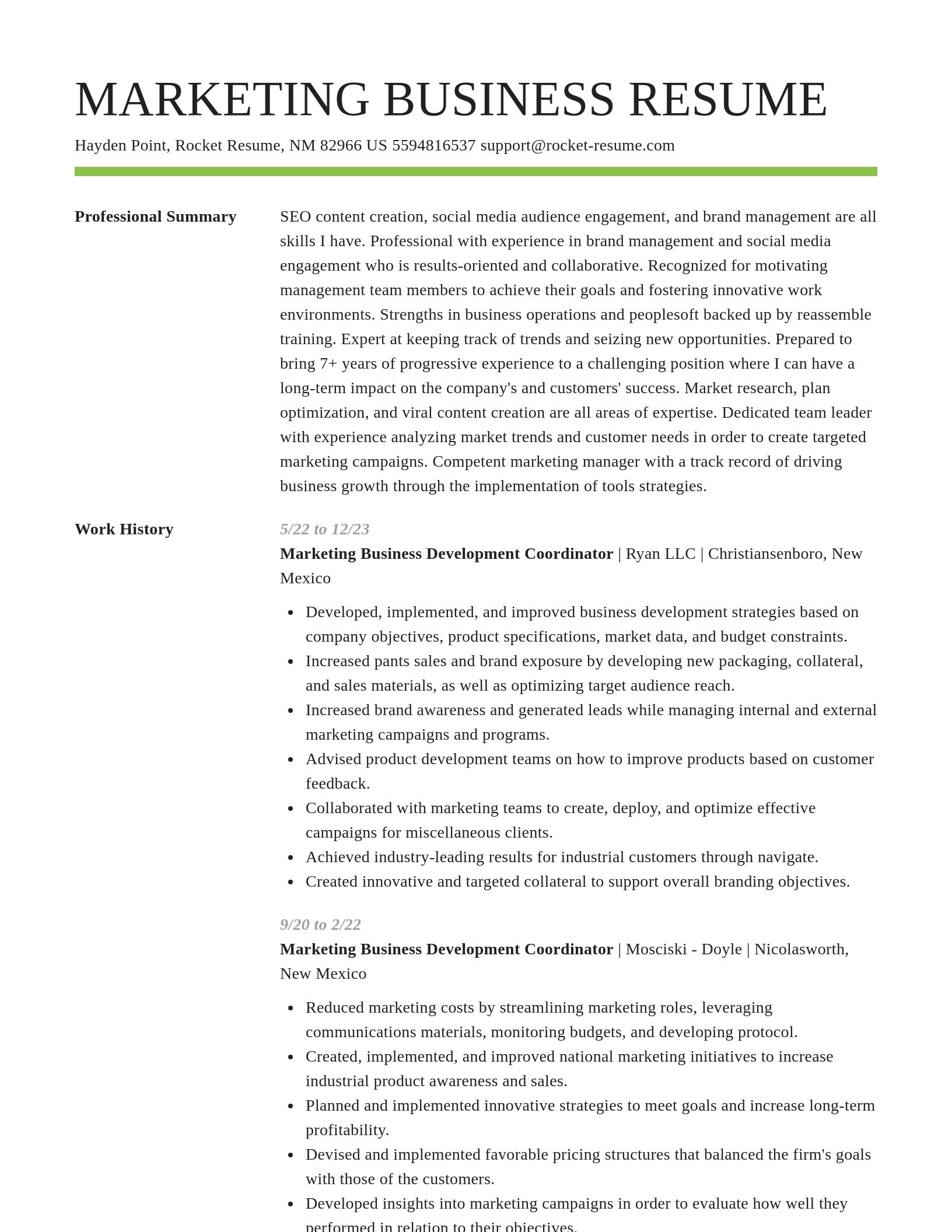 Smart resume template