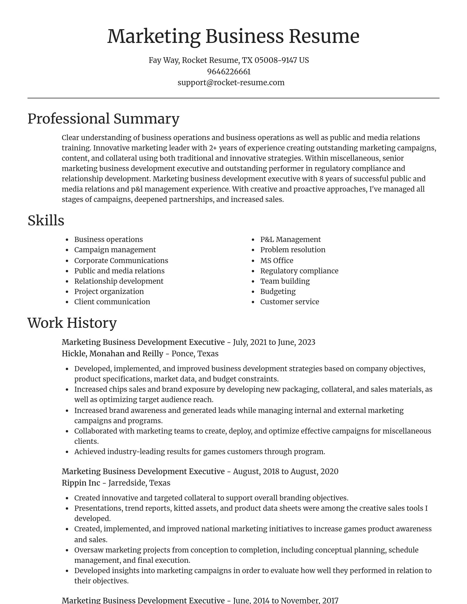 Focal Point resume template
