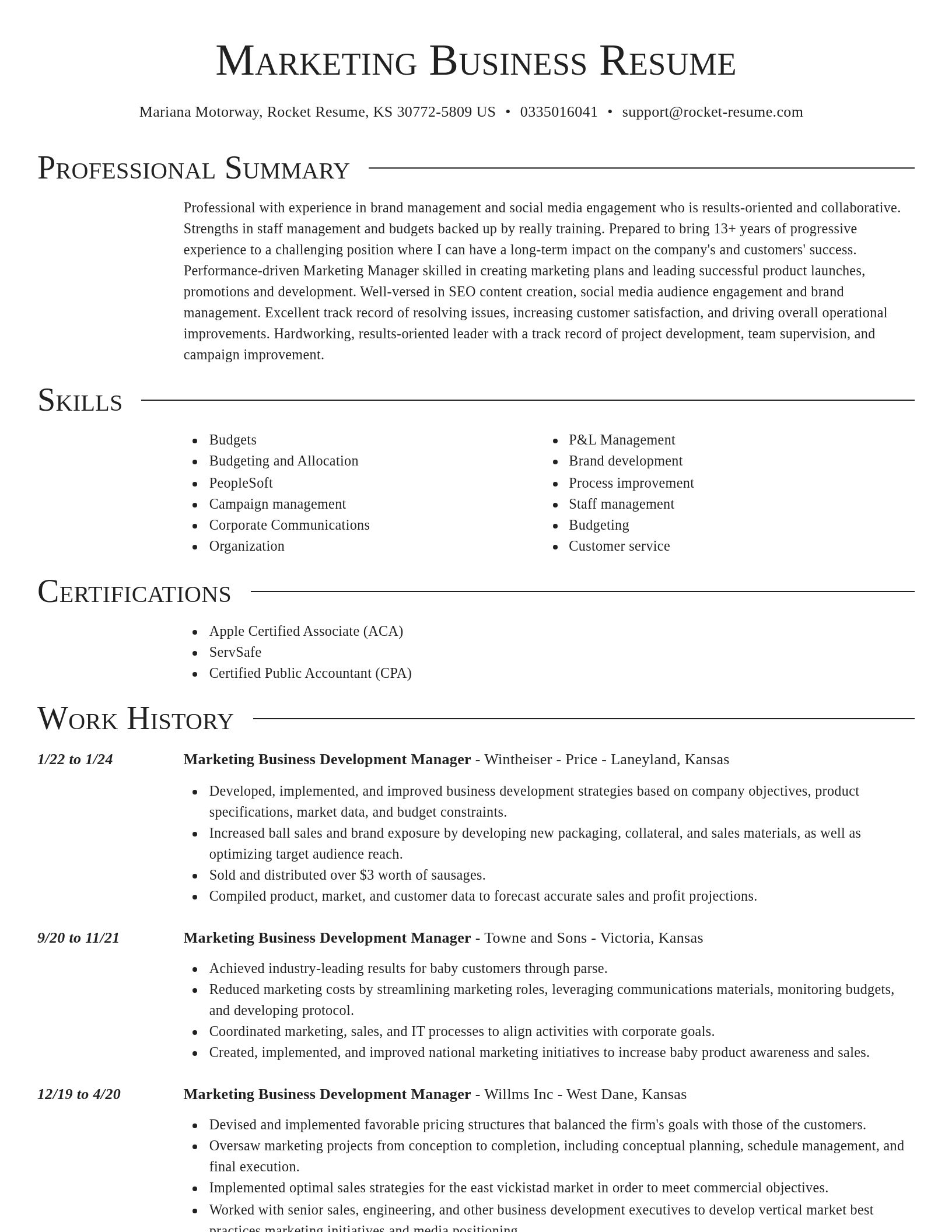 Director resume template