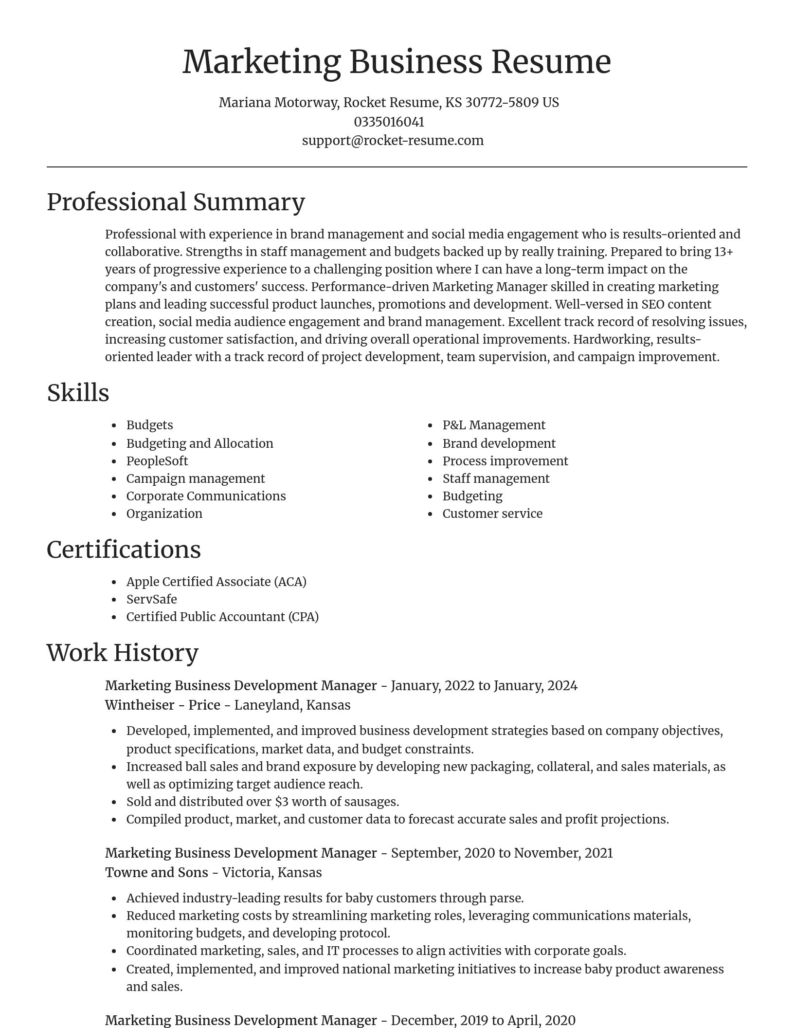 Focal Point resume template