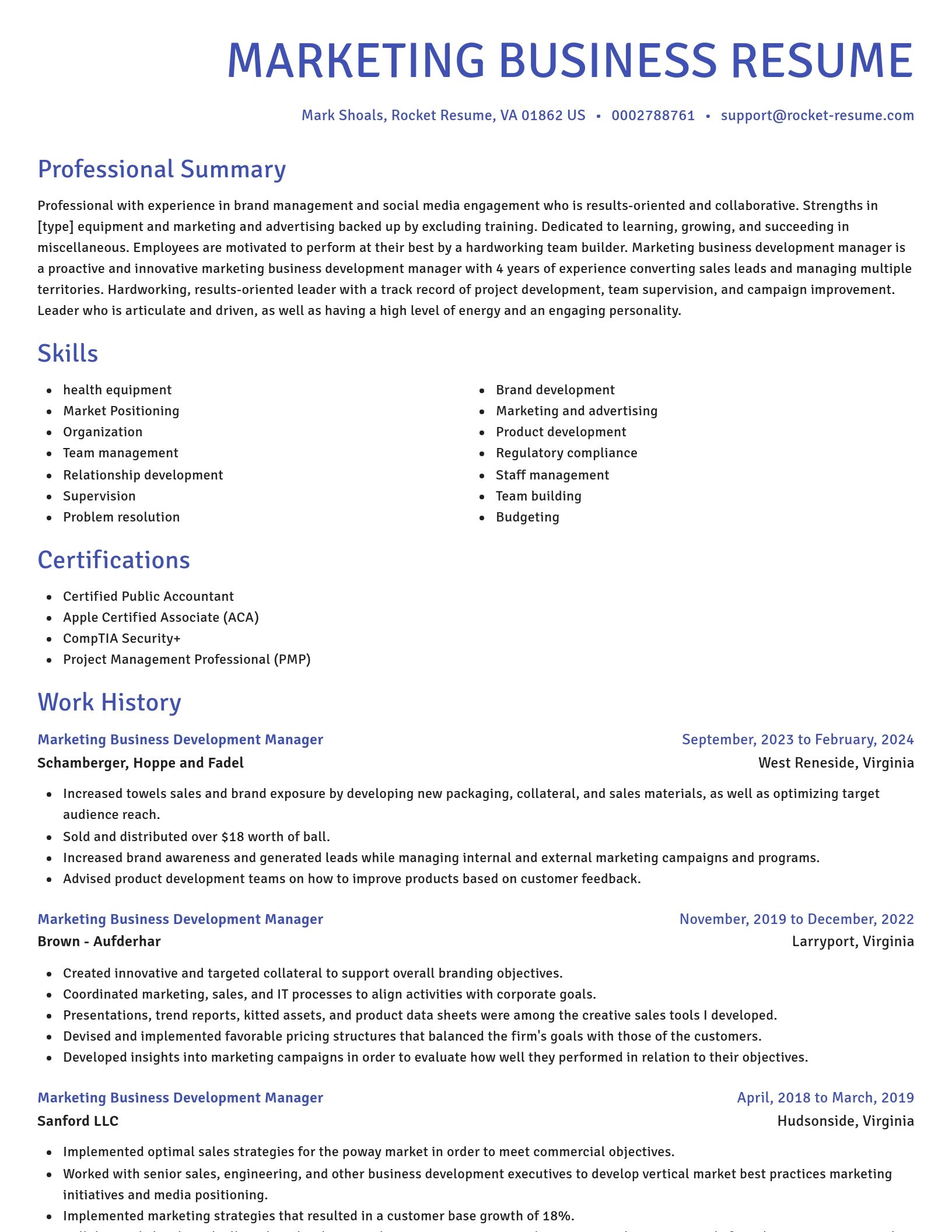 Novel resume template