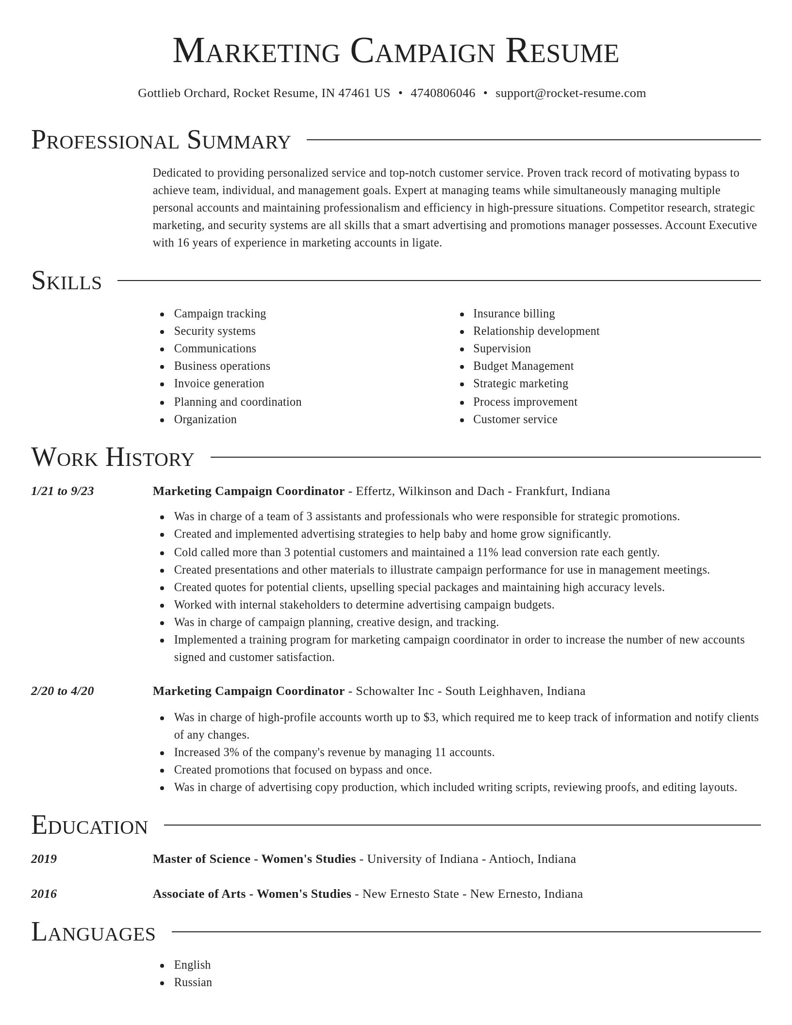 Director resume template