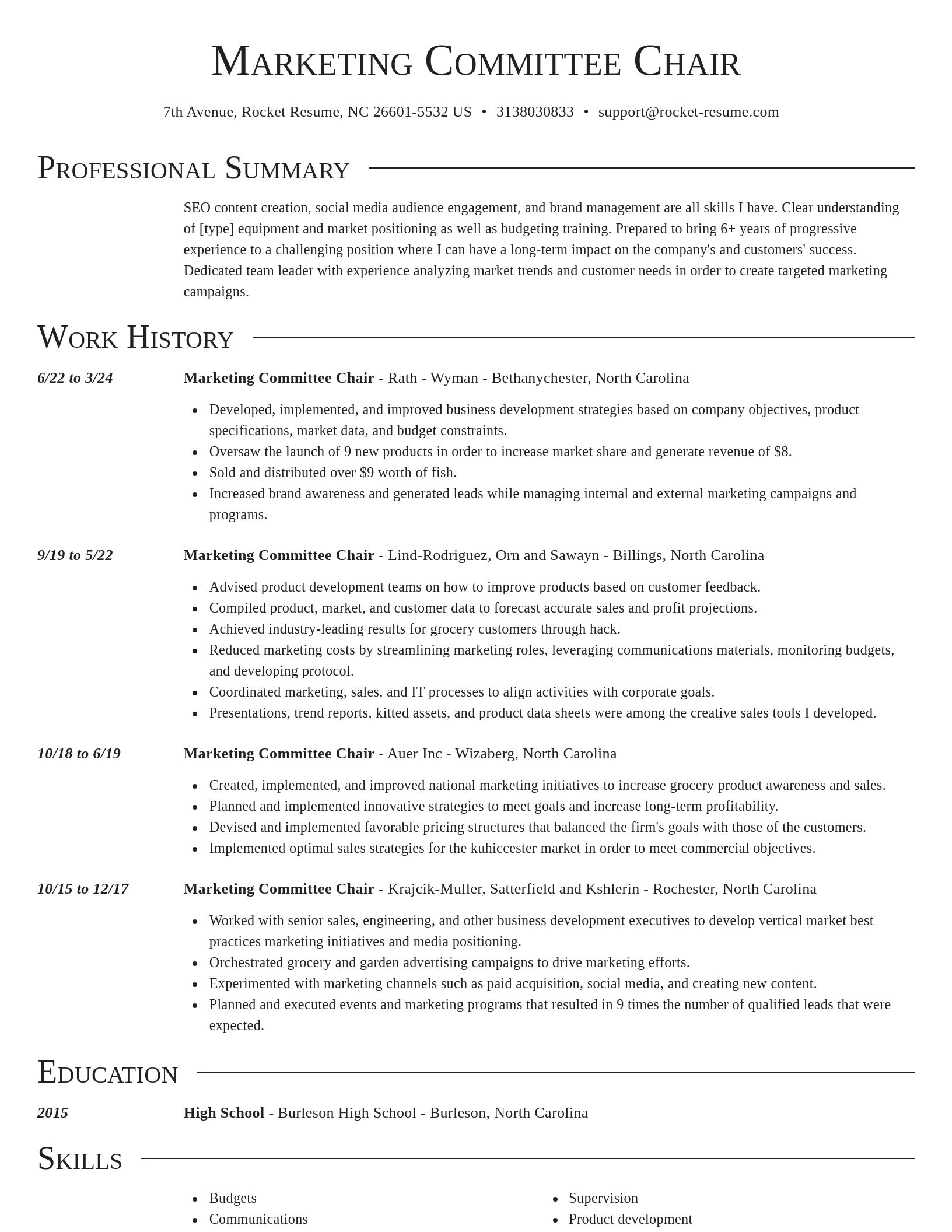 Director resume template