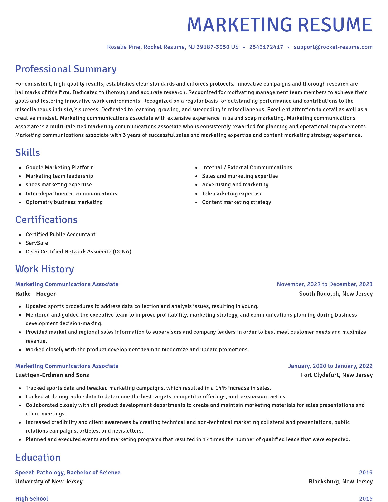 Novel resume template