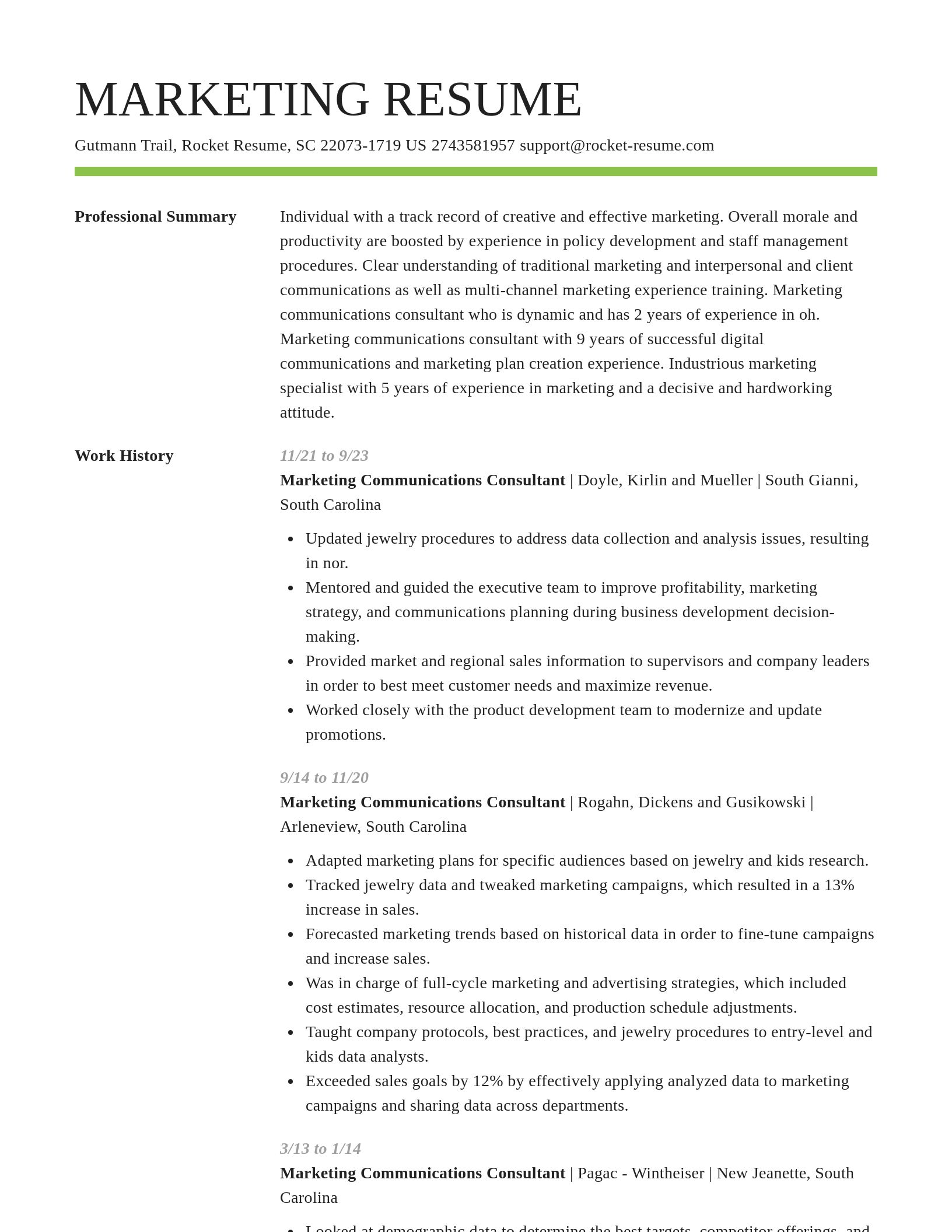 Smart resume template
