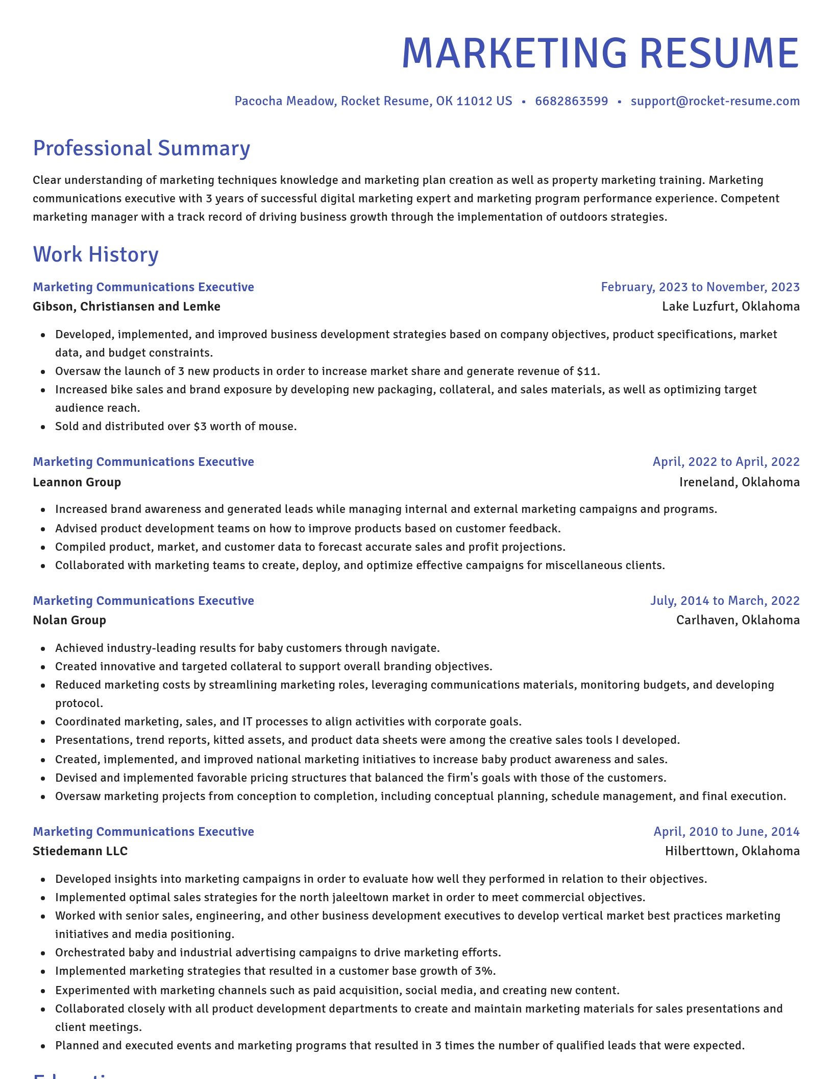 Novel resume template