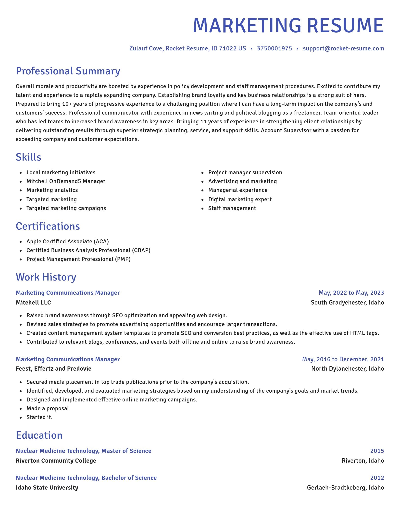 Novel resume template